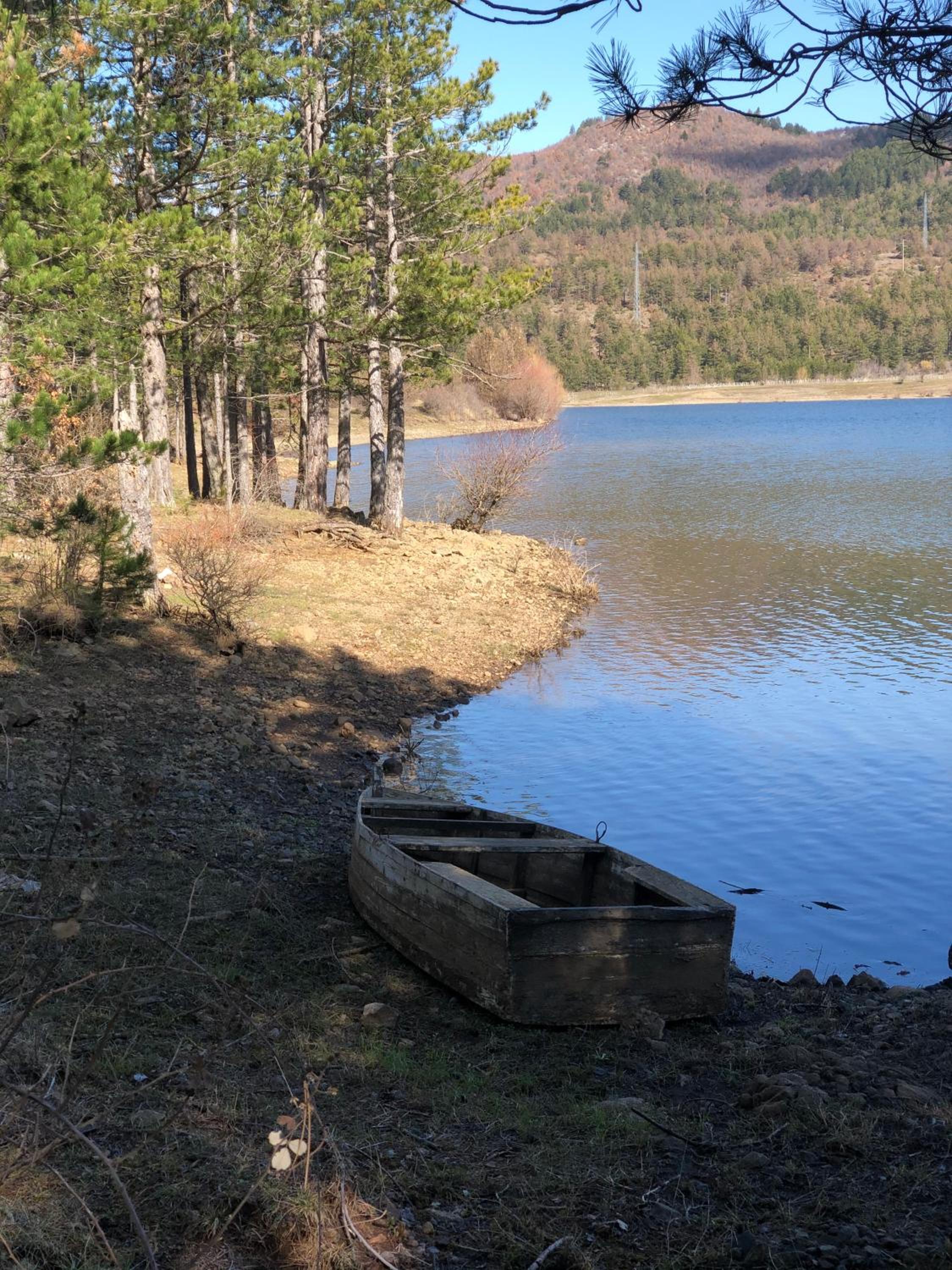 Camping Farm Shelegur