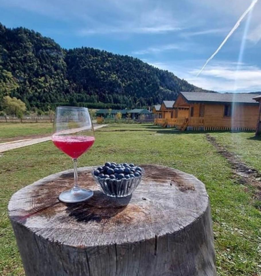 Camping Farm Shelegur