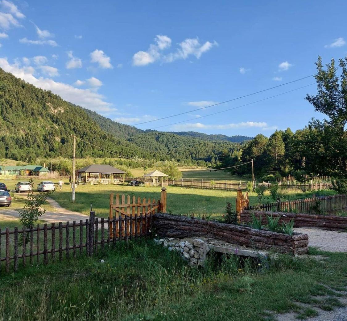Camping Farm Shelegur