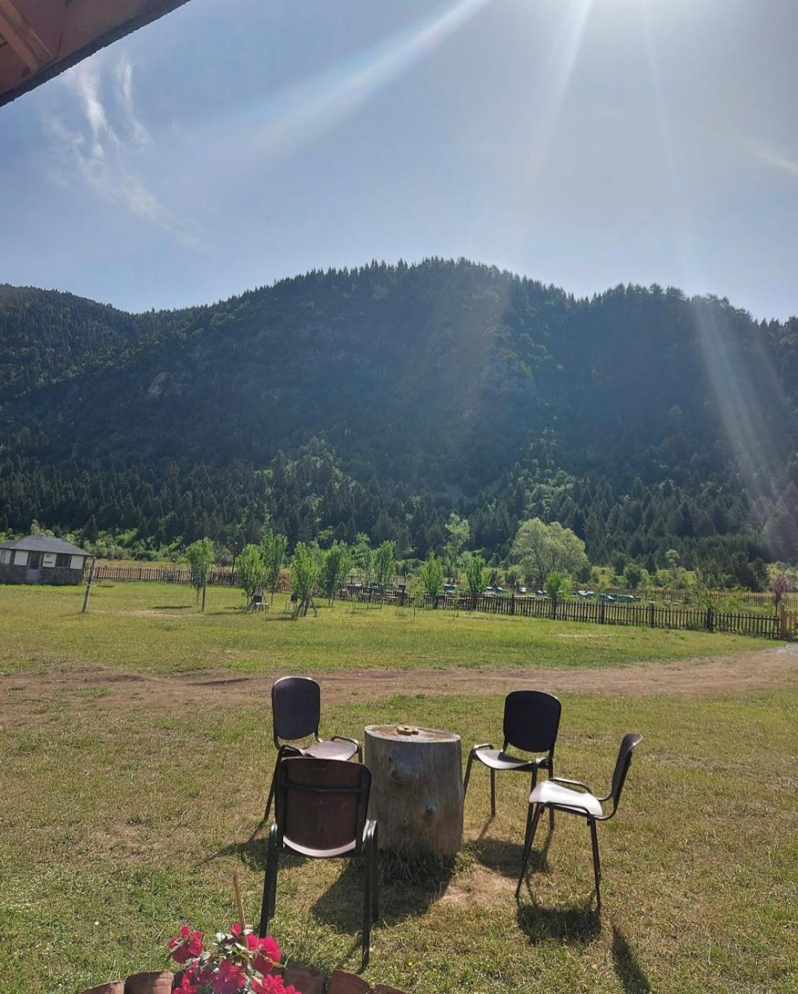 Camping Farm Shelegur