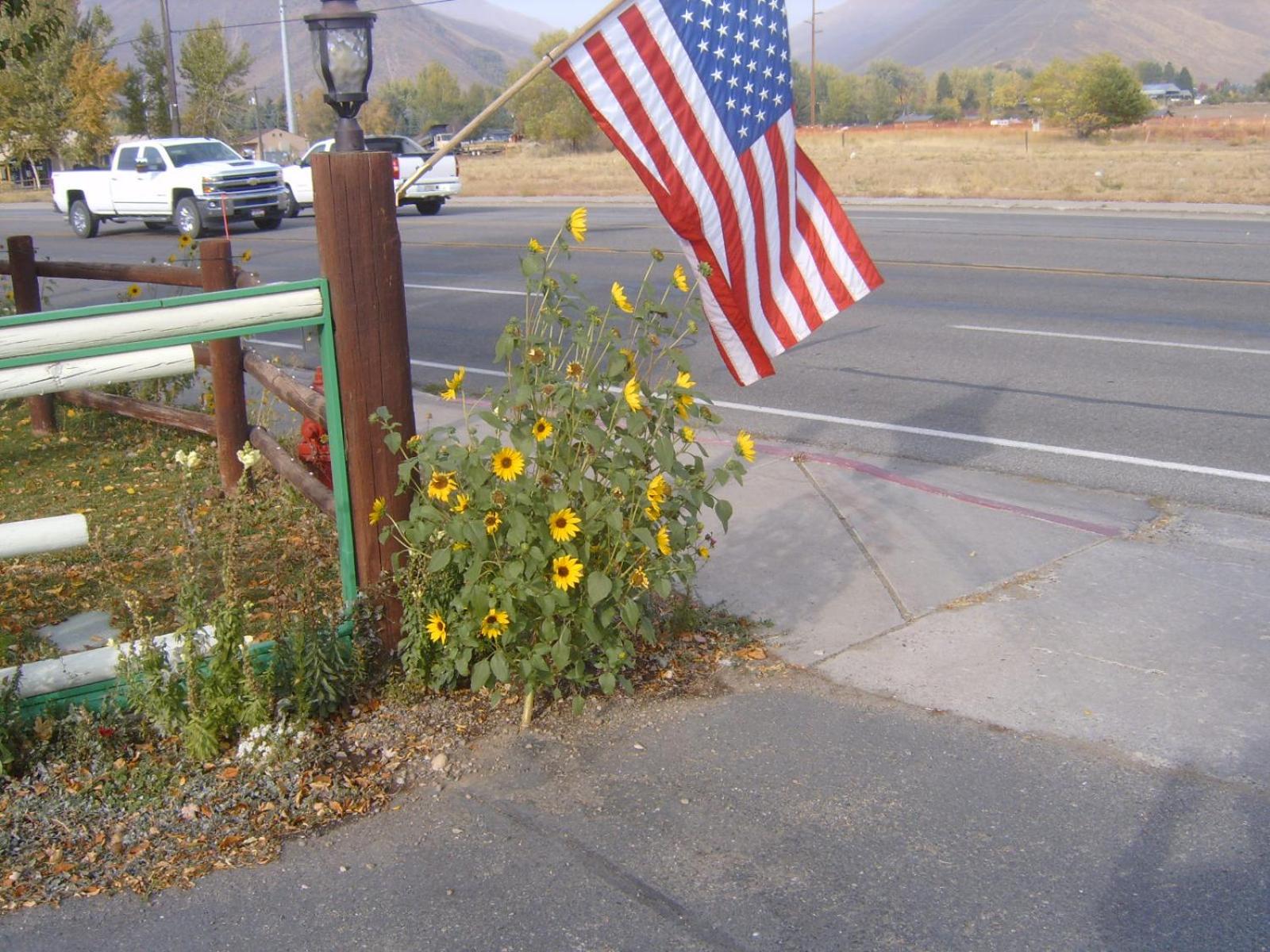 High Country Motel - Property Image 4