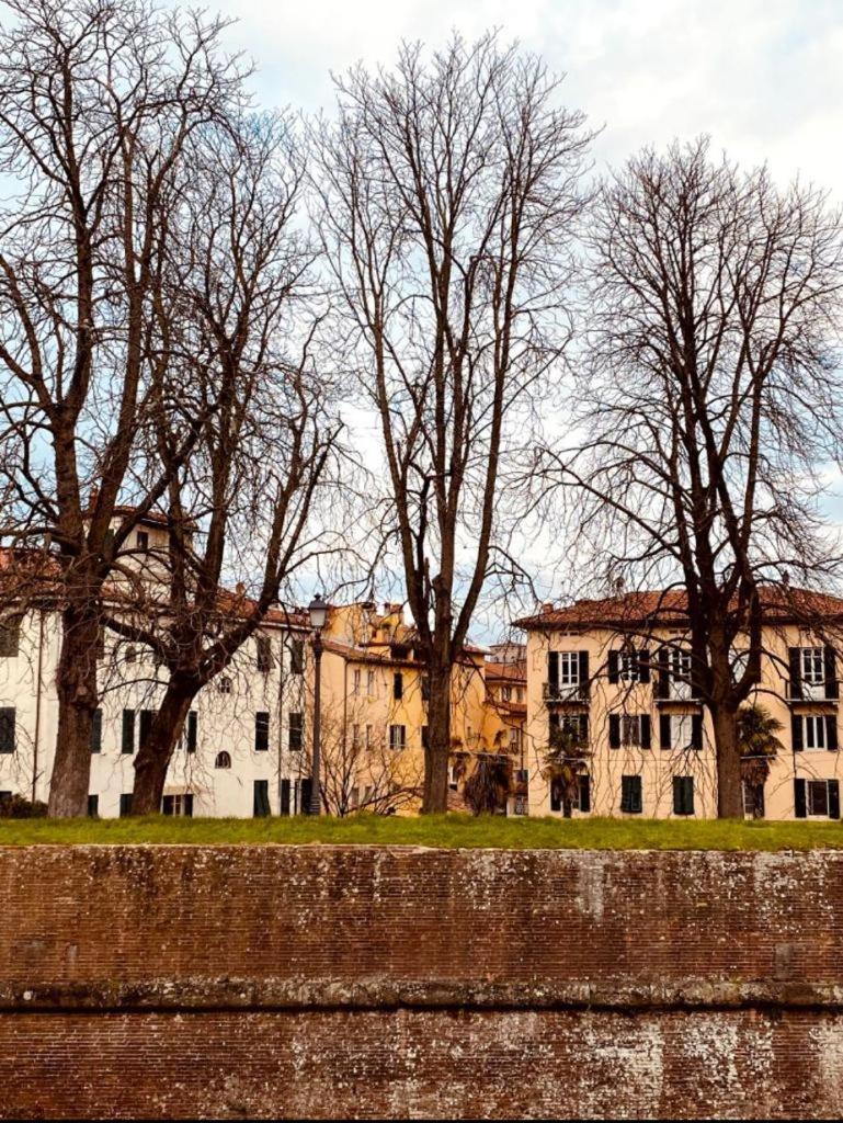 La Terrazza di Sofia - main view