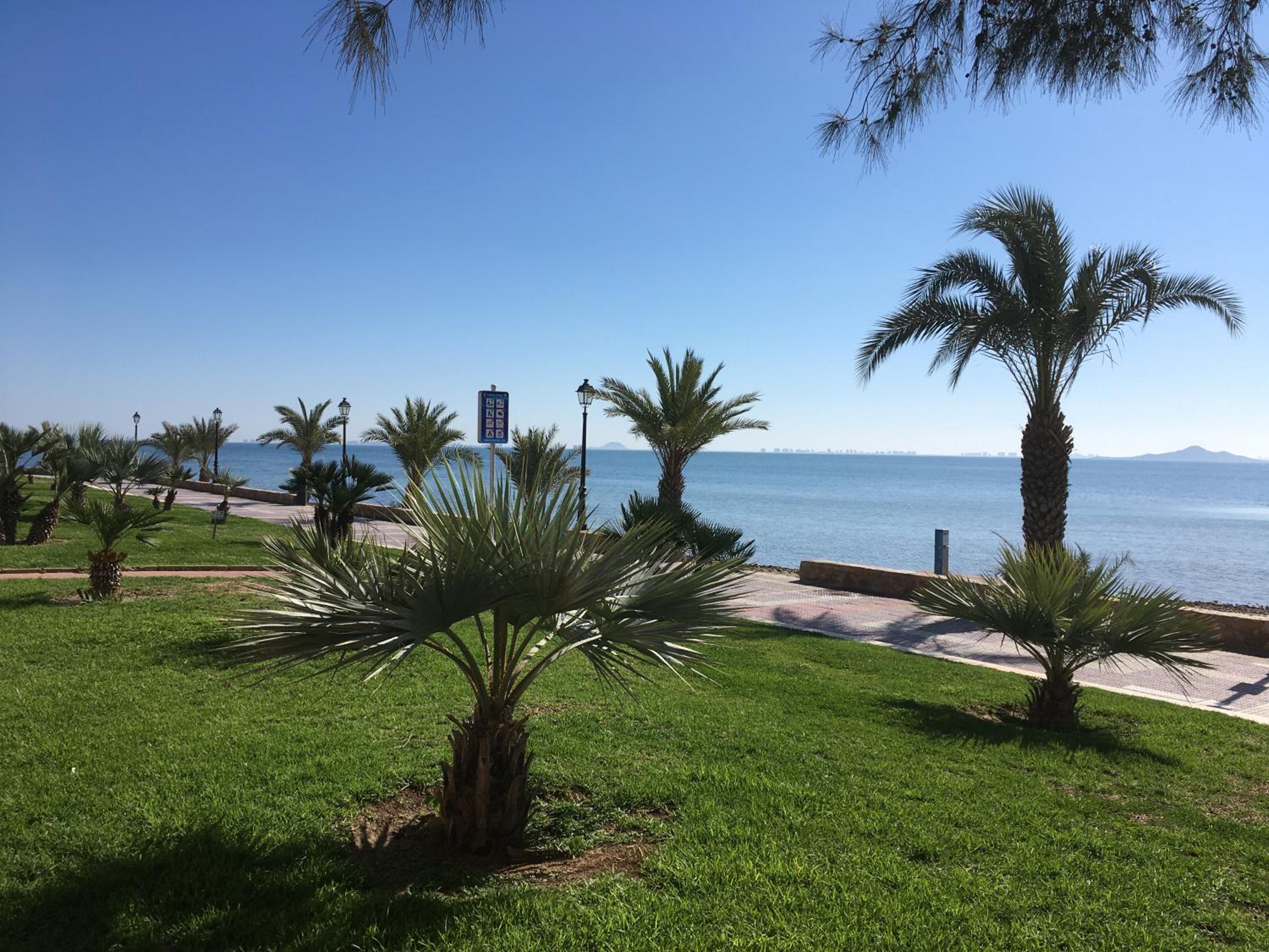 Murcia Vacations - Residencial Alhambras1 - Property Image 4