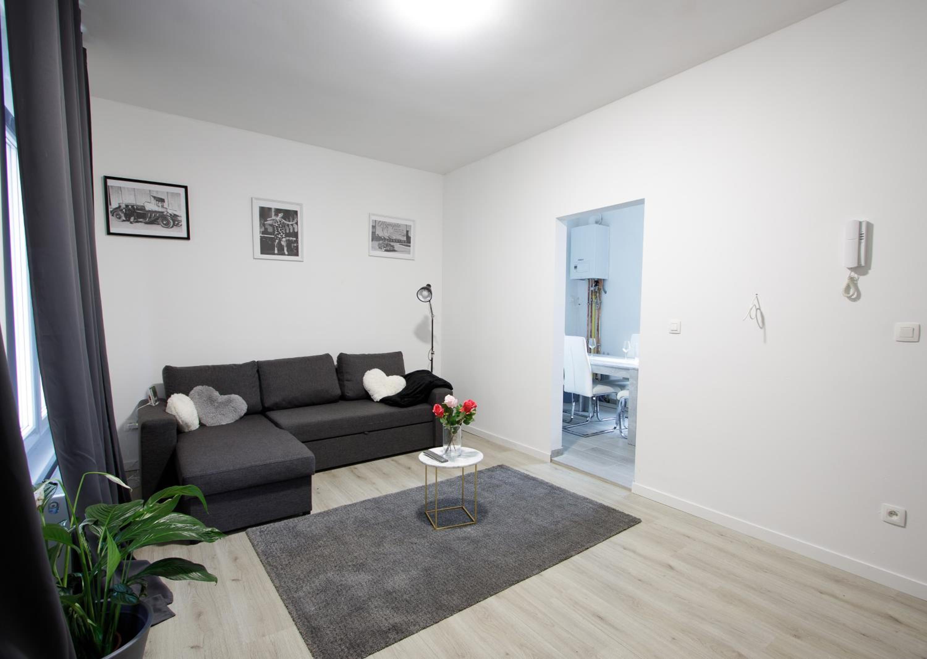 GROGO DUPLEX APPARTMENT(CENTRE OF ANTWERP) view 4