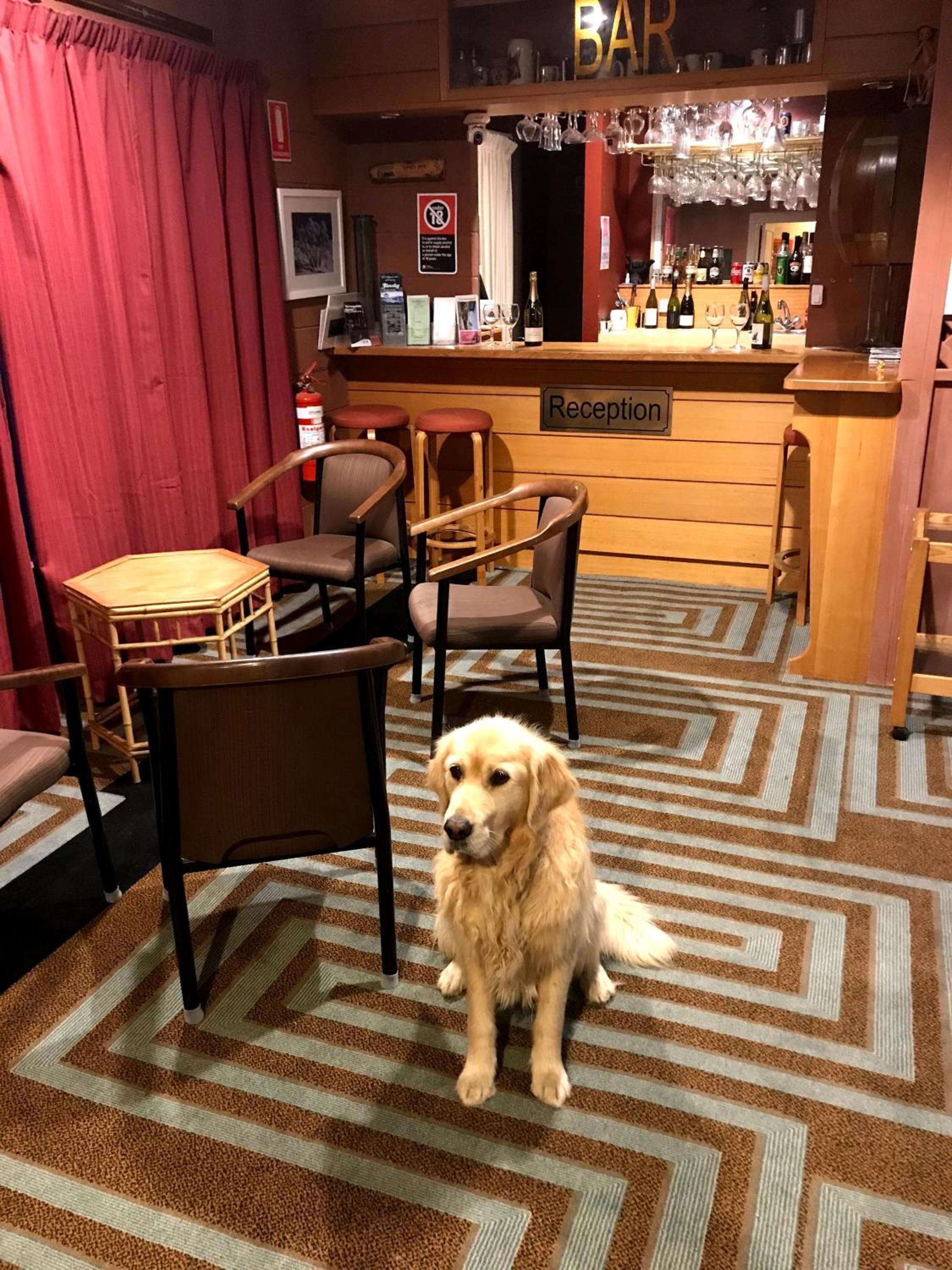 Cottonwood Lodge