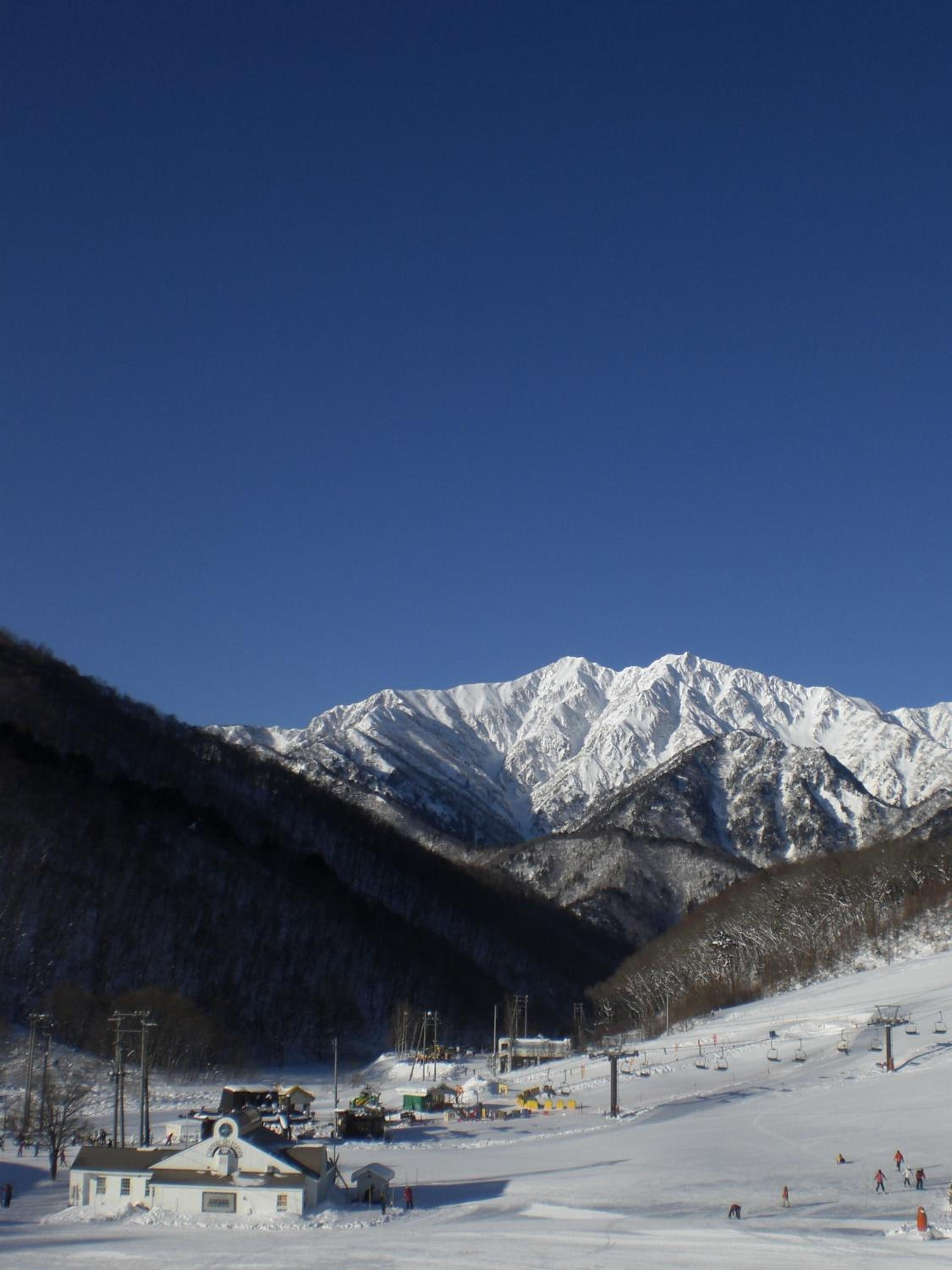 Photo 42