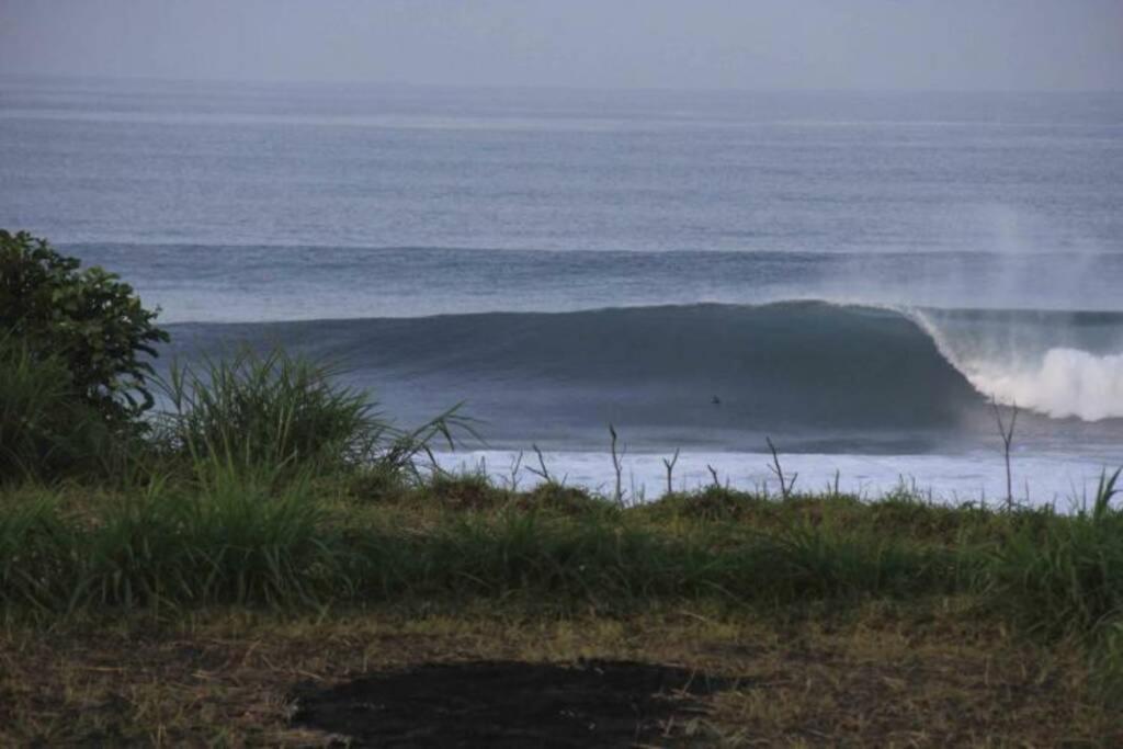 Klotok Surf Shack view 4