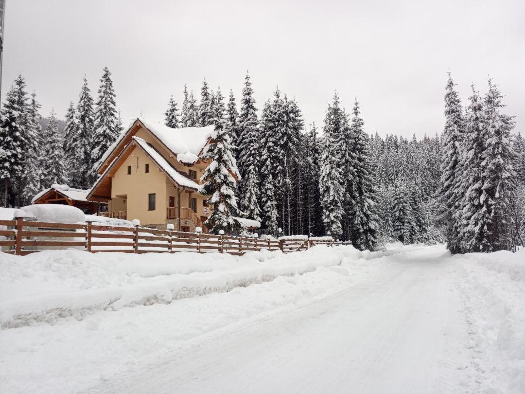Vidra Parc view 2