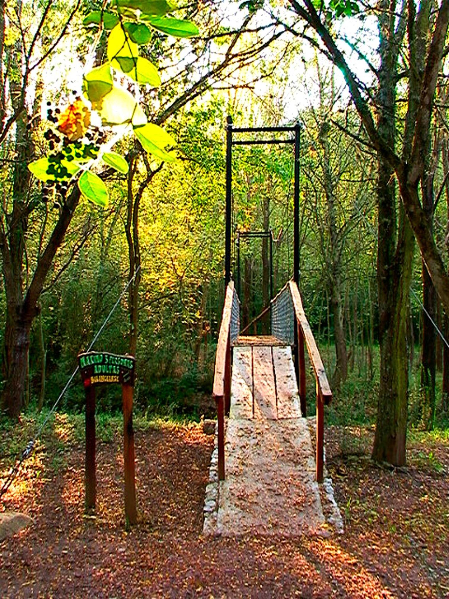 Cabañas Am Bach