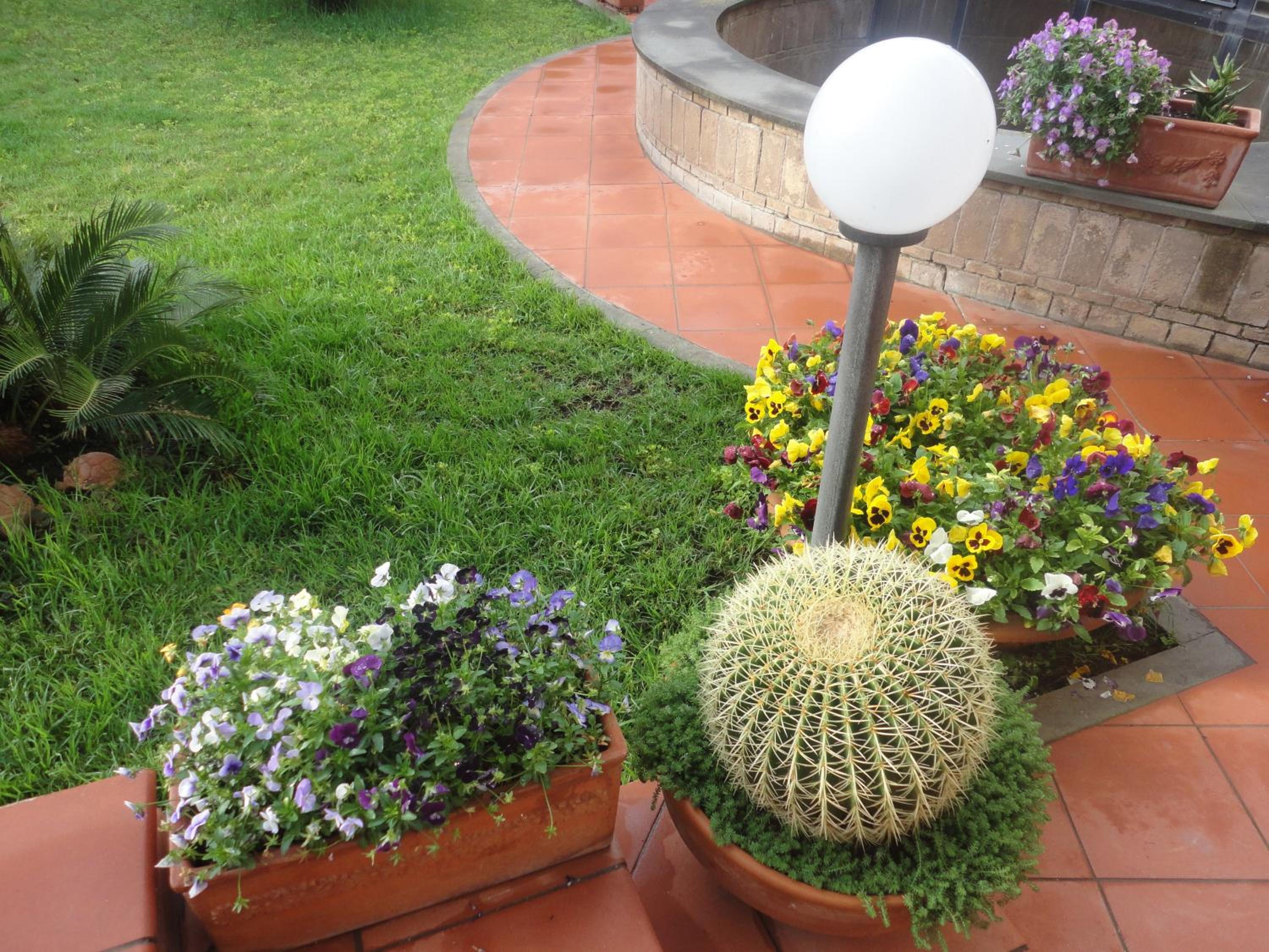 Photo 6