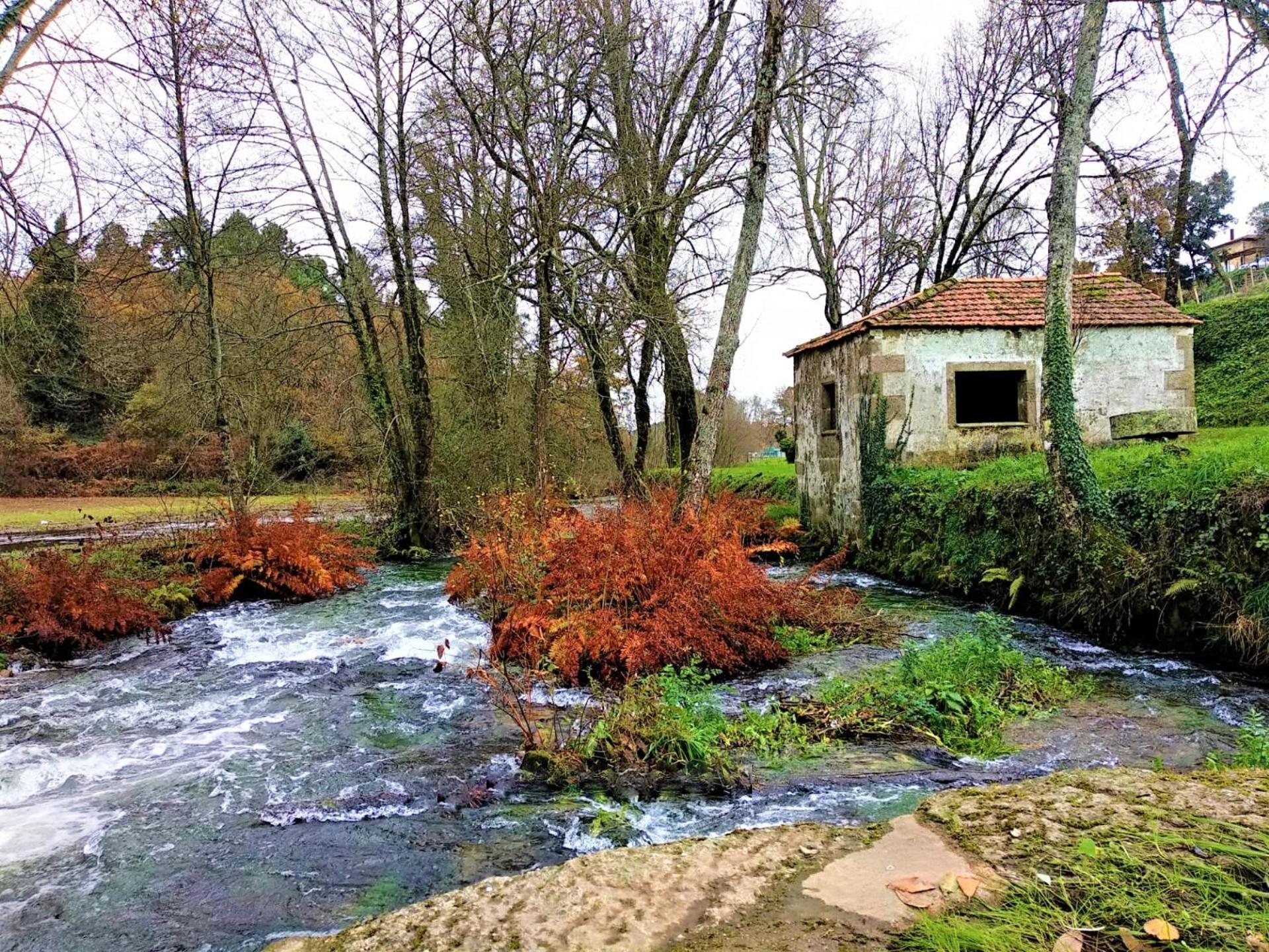 Photo 46