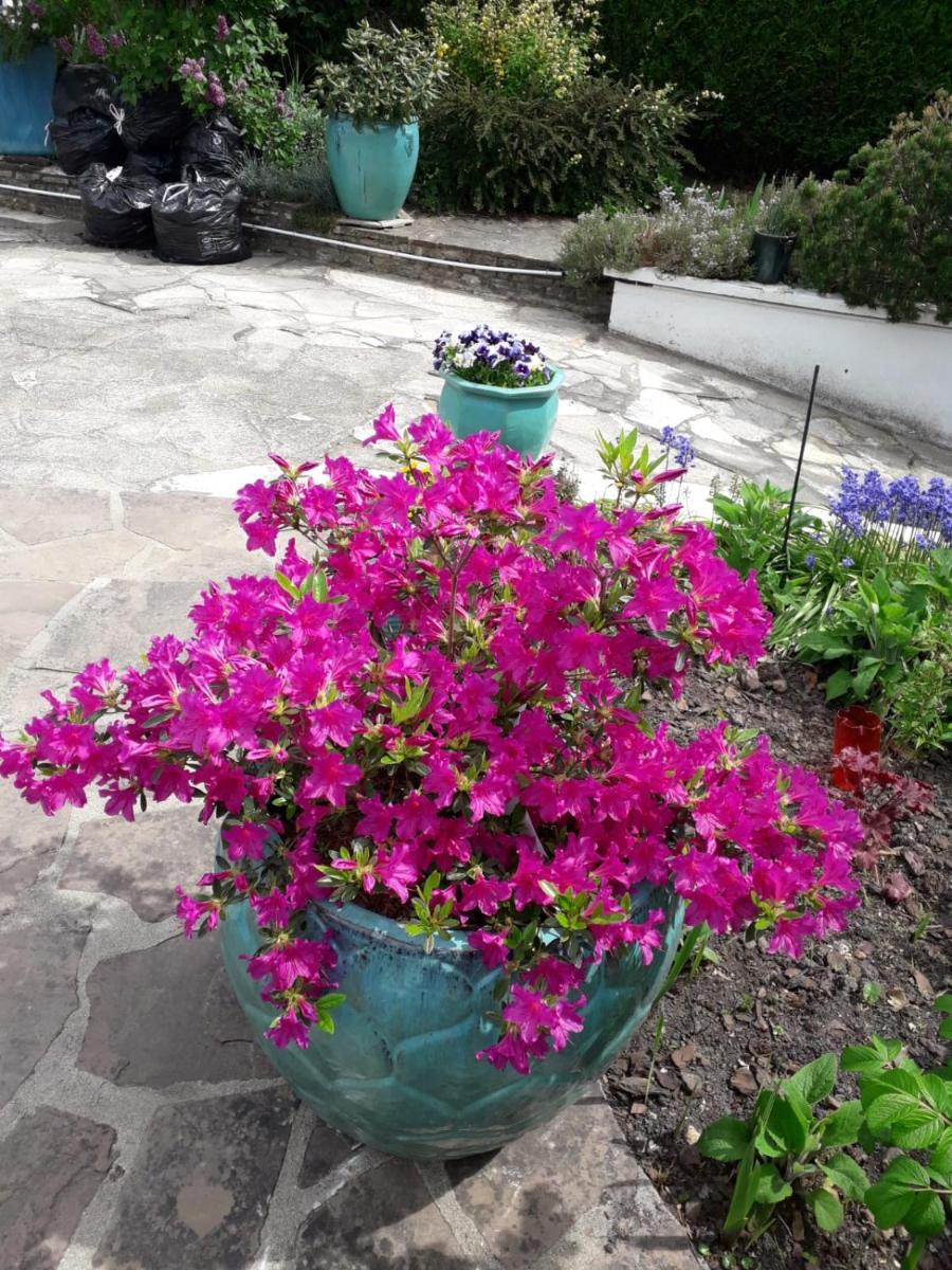 Photo 28