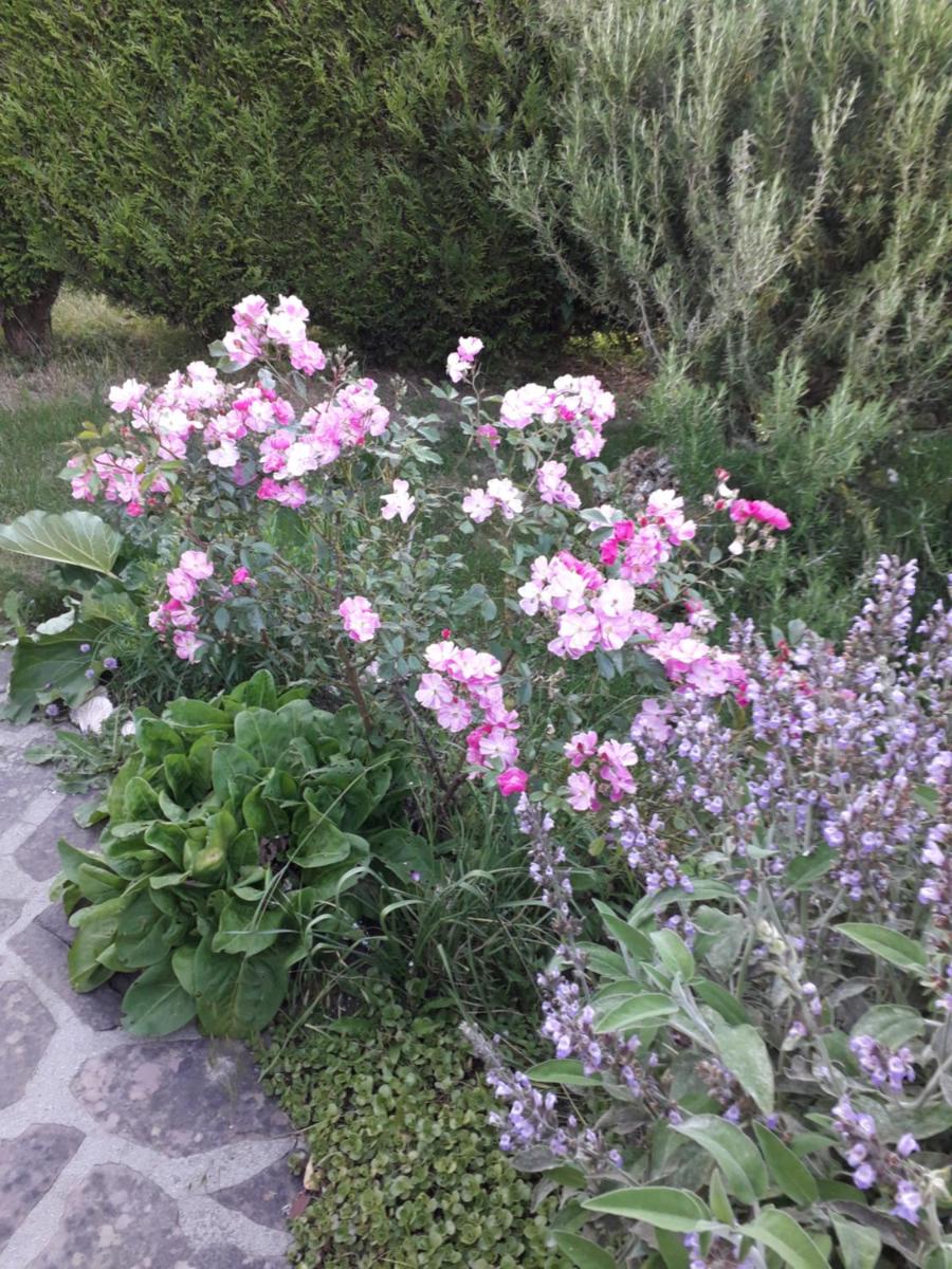 Photo 29