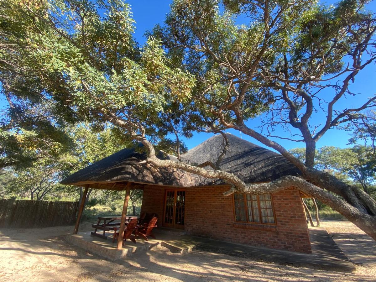 Limpopo Bushveld Retreat
