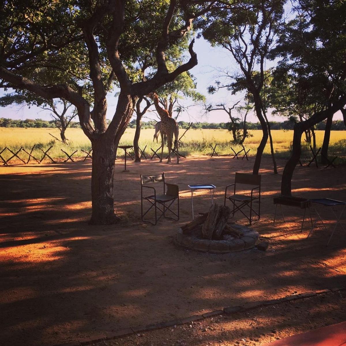 Limpopo Bushveld Retreat