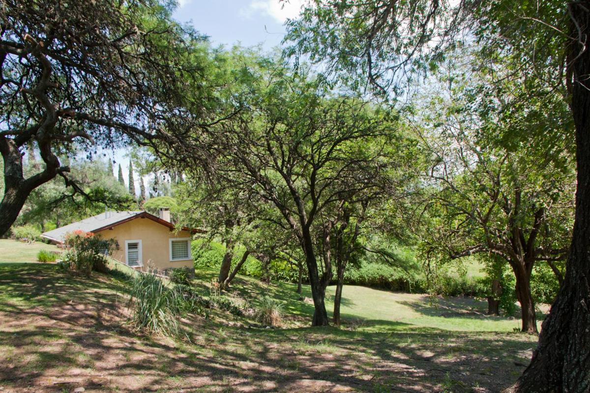 Del Arroyo Cabañas