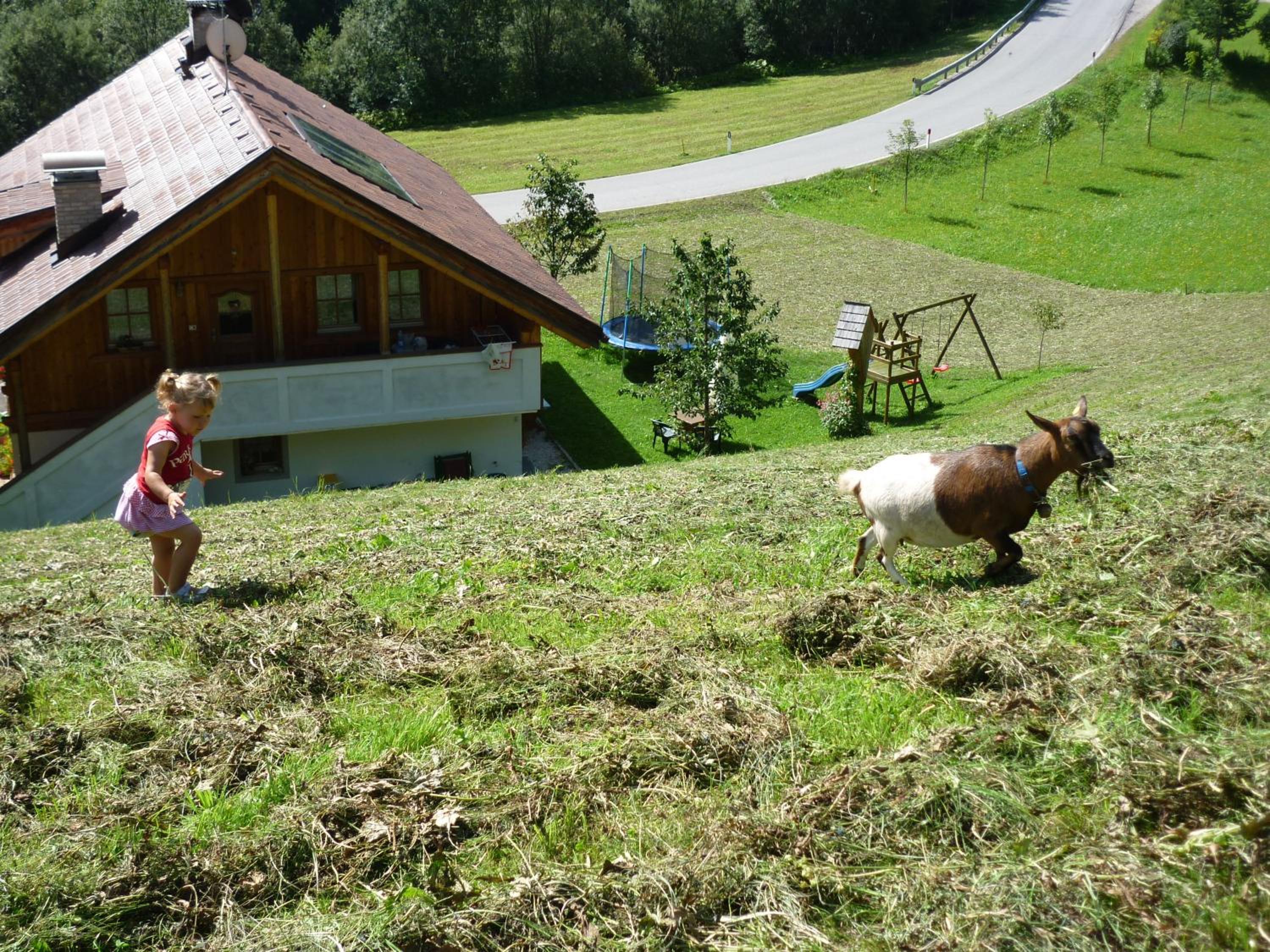 Photo 39