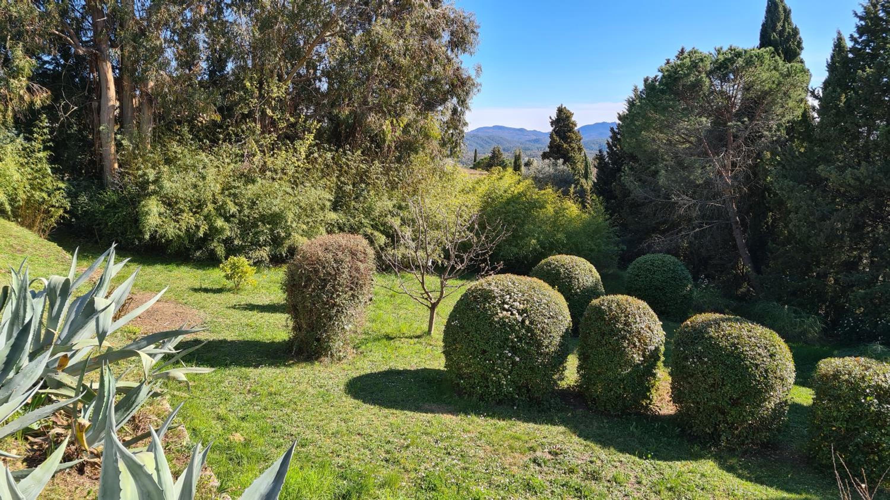 Mas Orféo en Montauroux