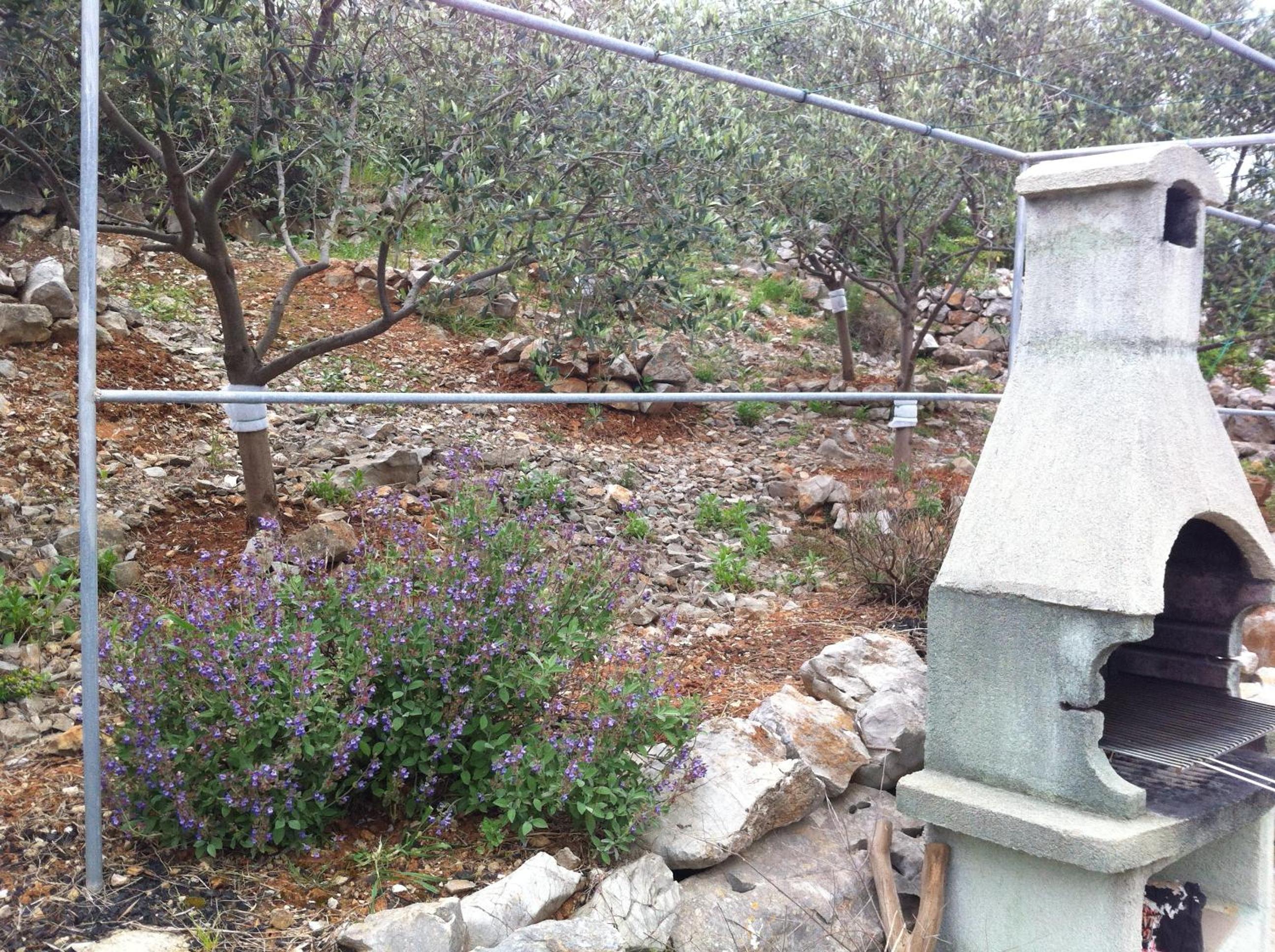 Photo 41