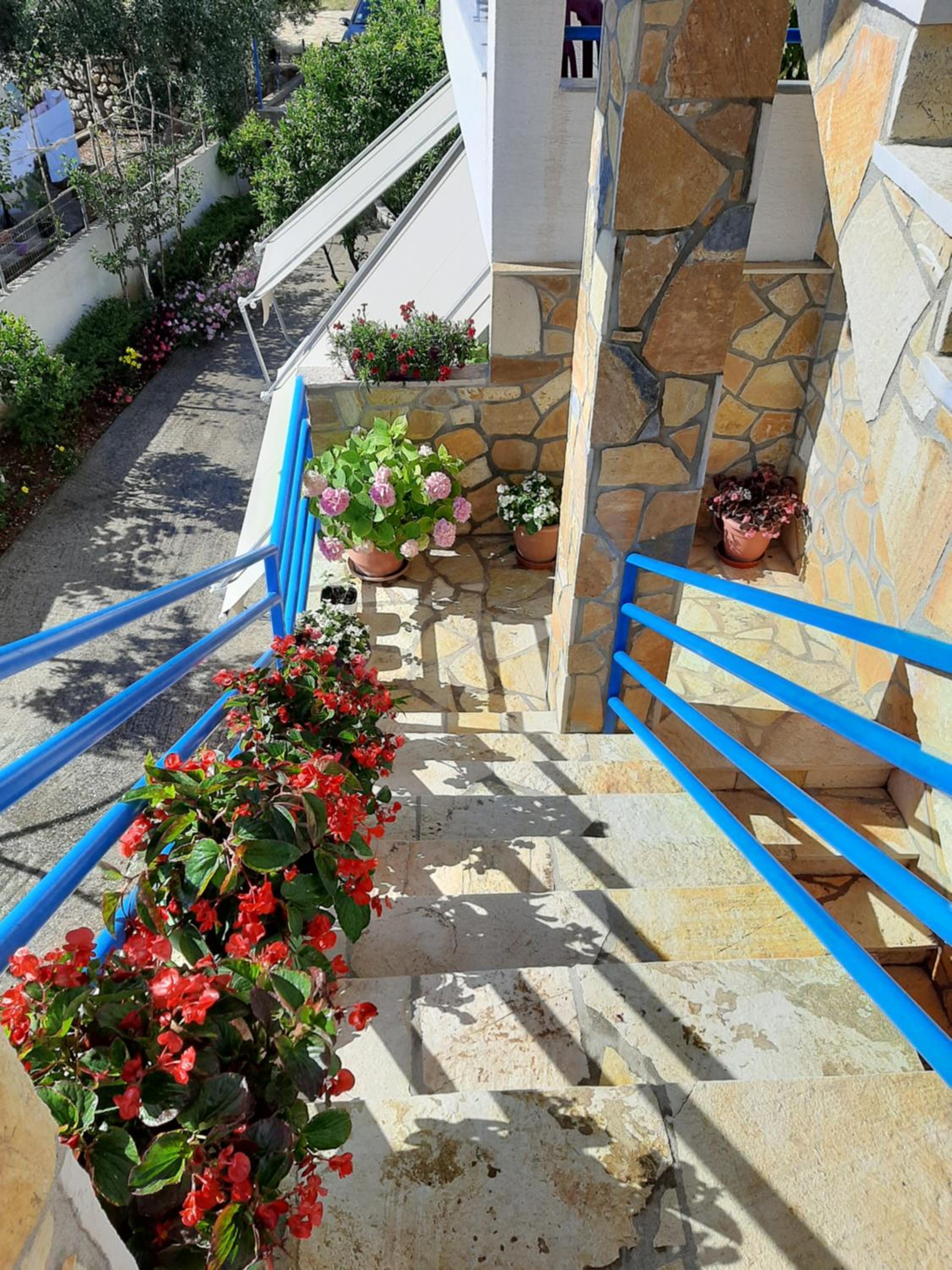 Guesthouse Jasmine