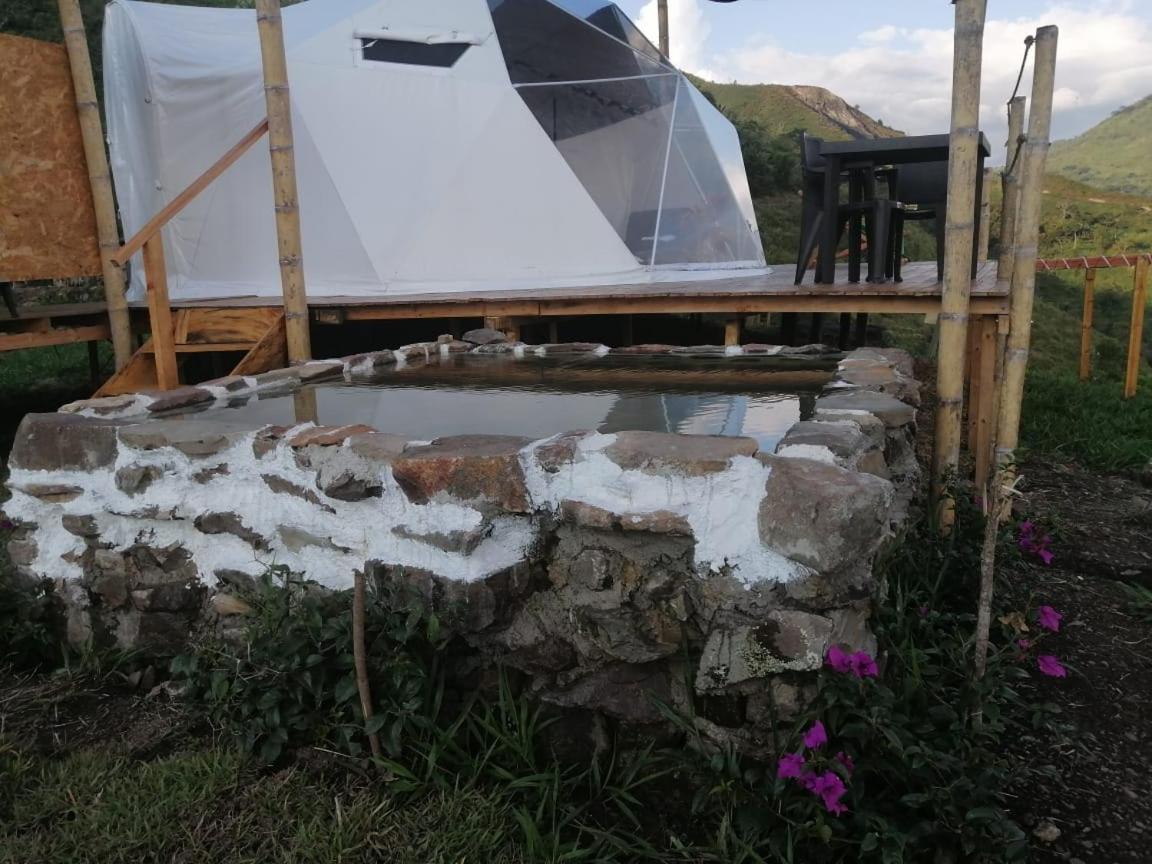 Domo Glamping Reserva Los Cucharos view 5