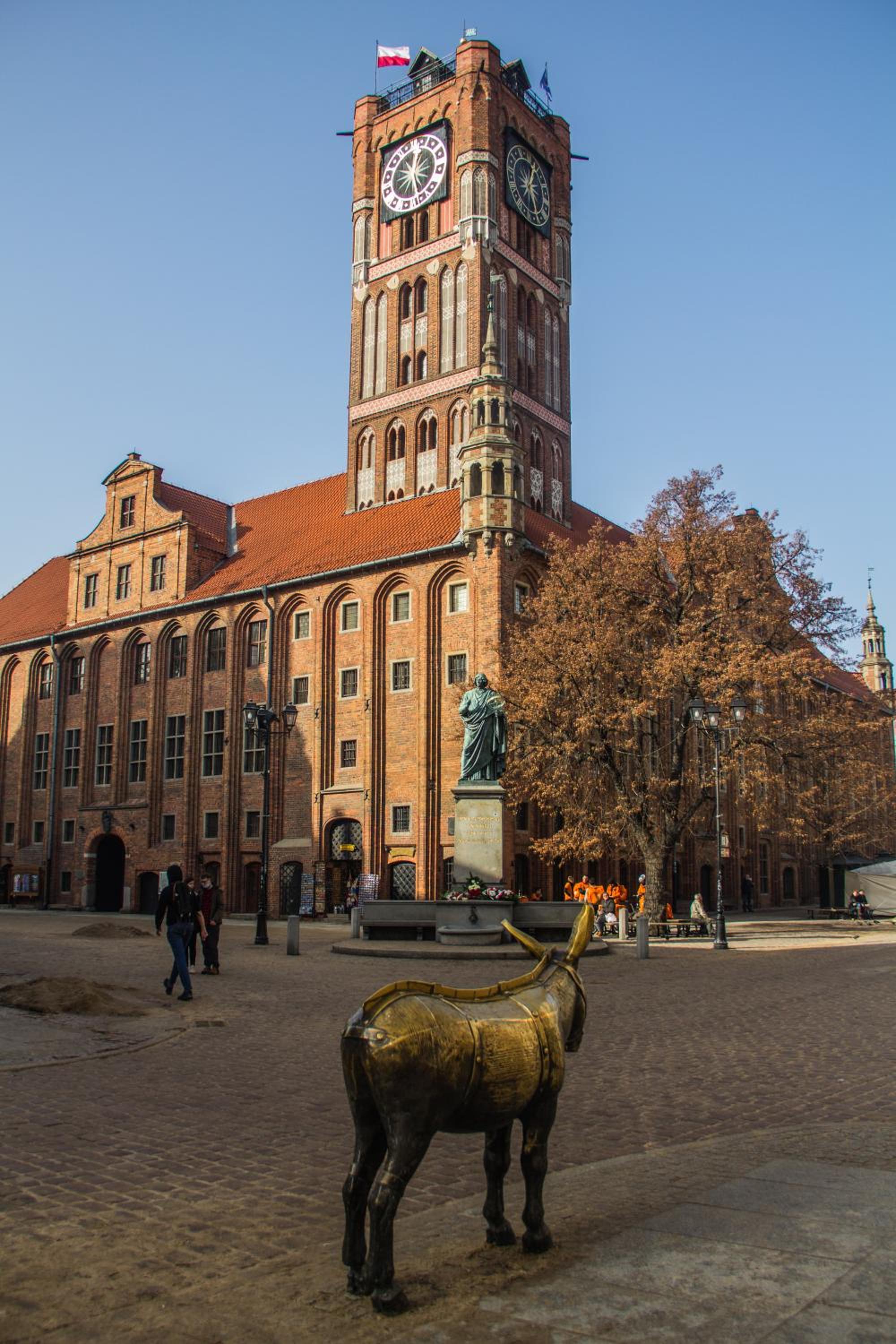 Photo 29