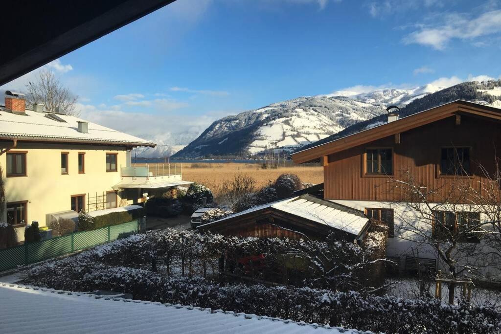 Ferienwohnung Appartement Am Schilf XL