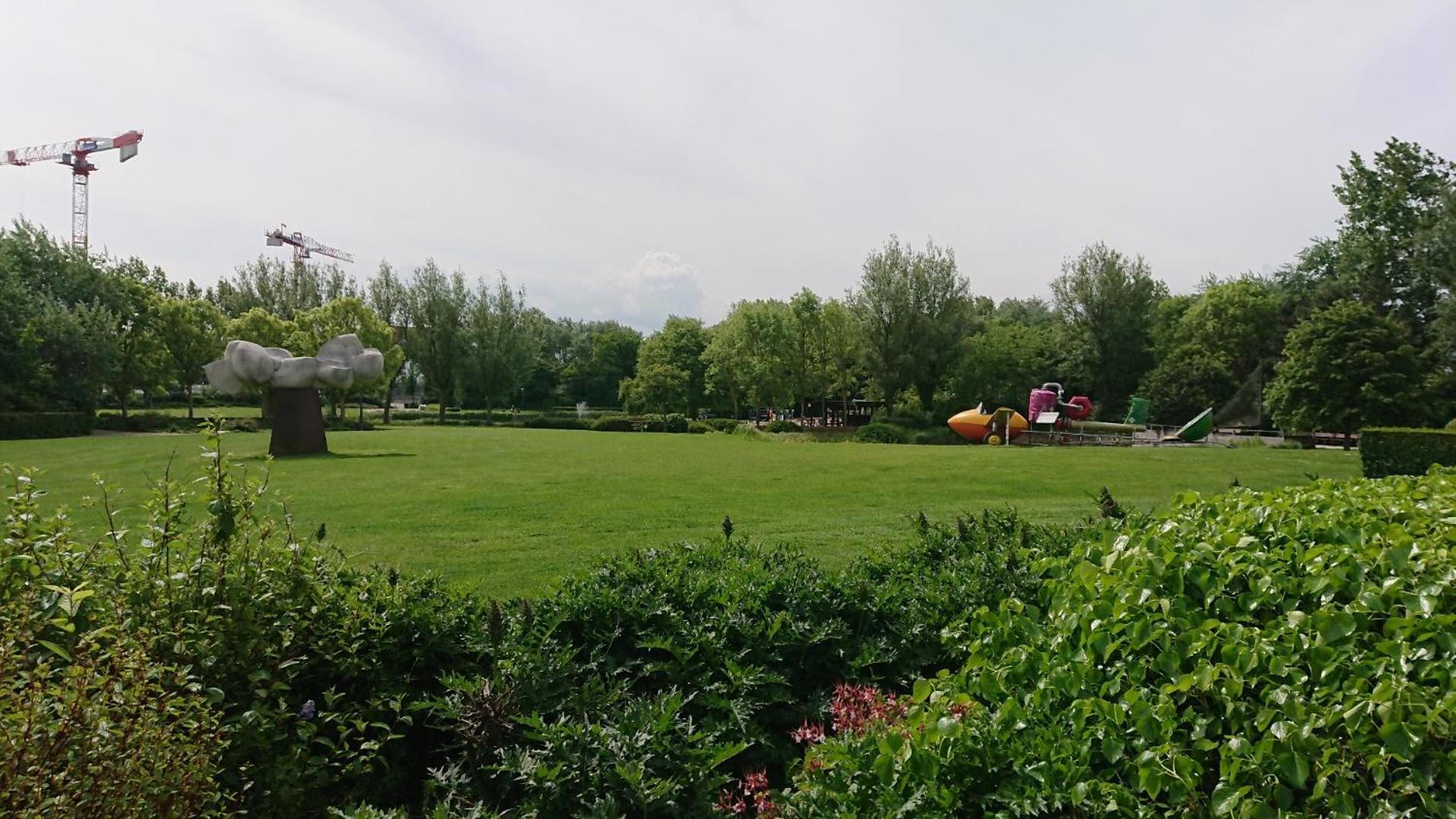 Photo 21