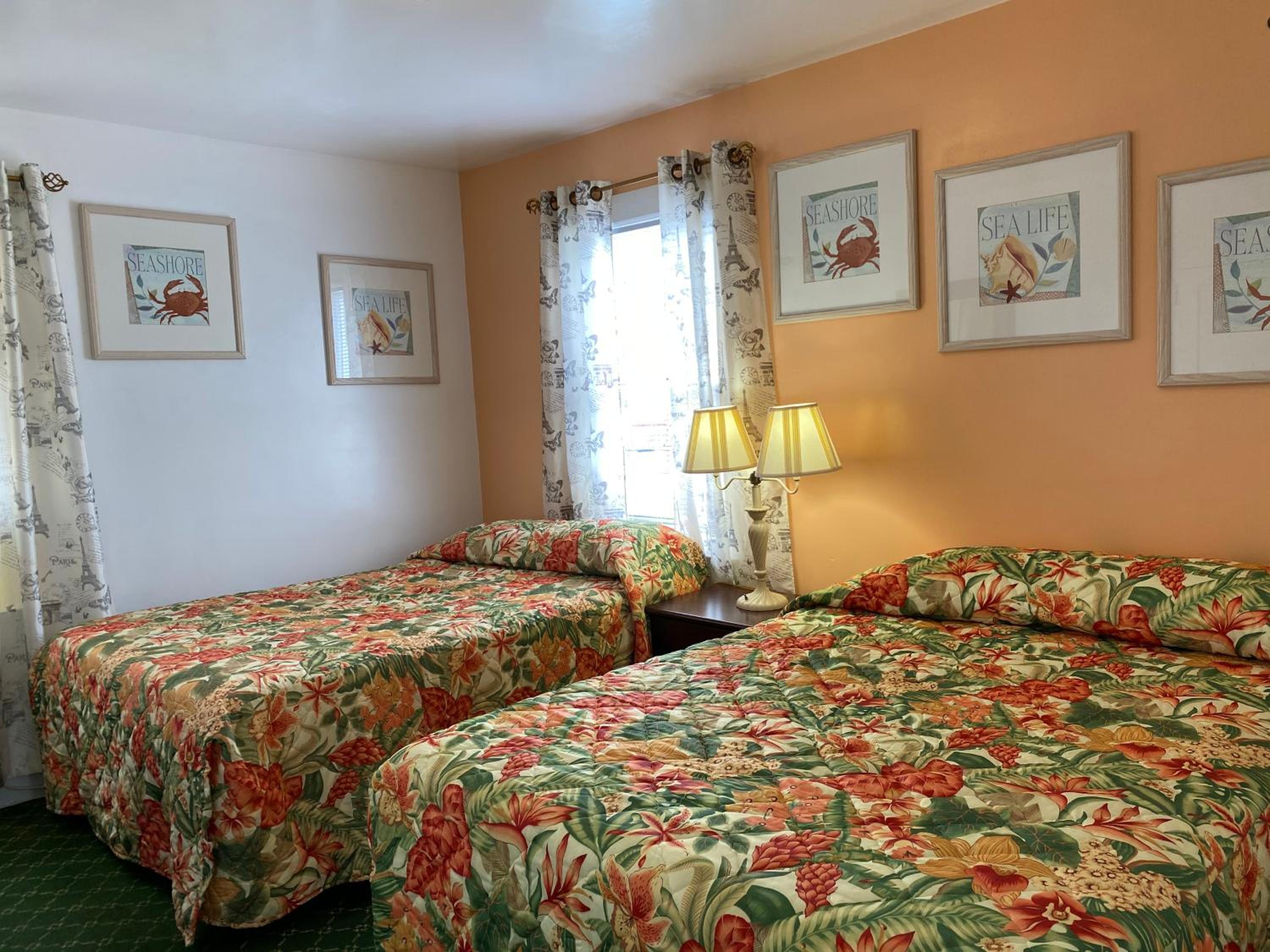 Nock Apartments