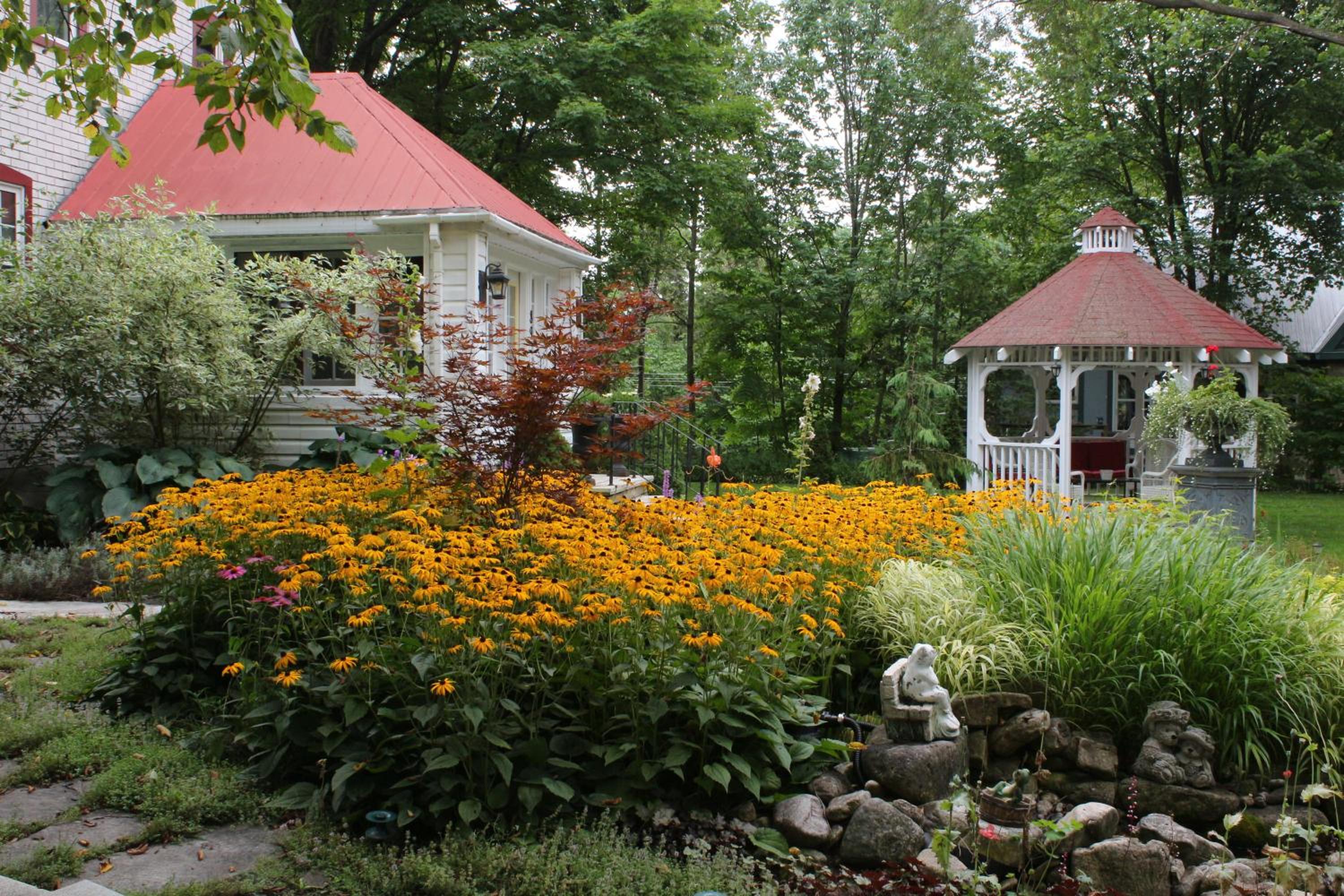 Lionheart Guest House