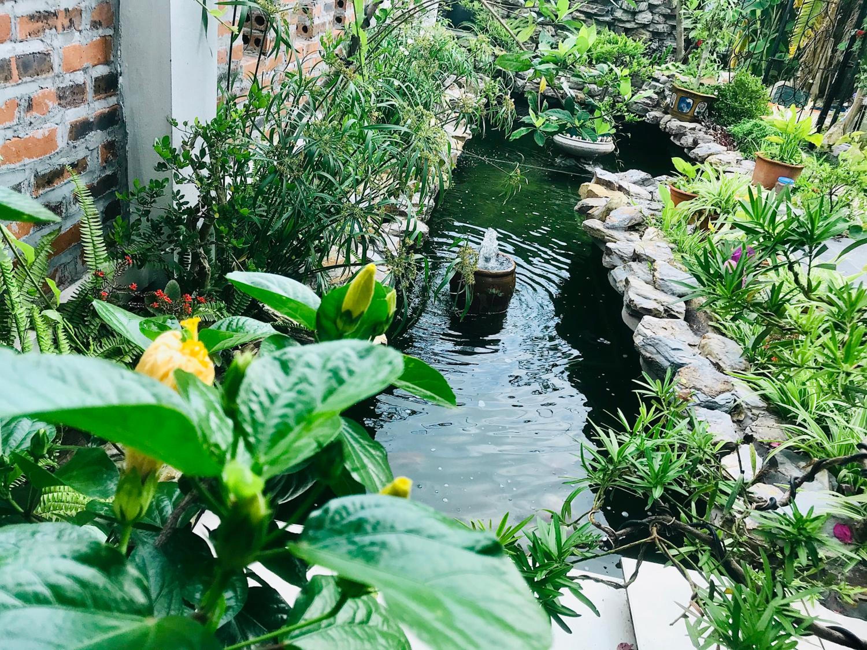Coto Center Homestay, photo 176