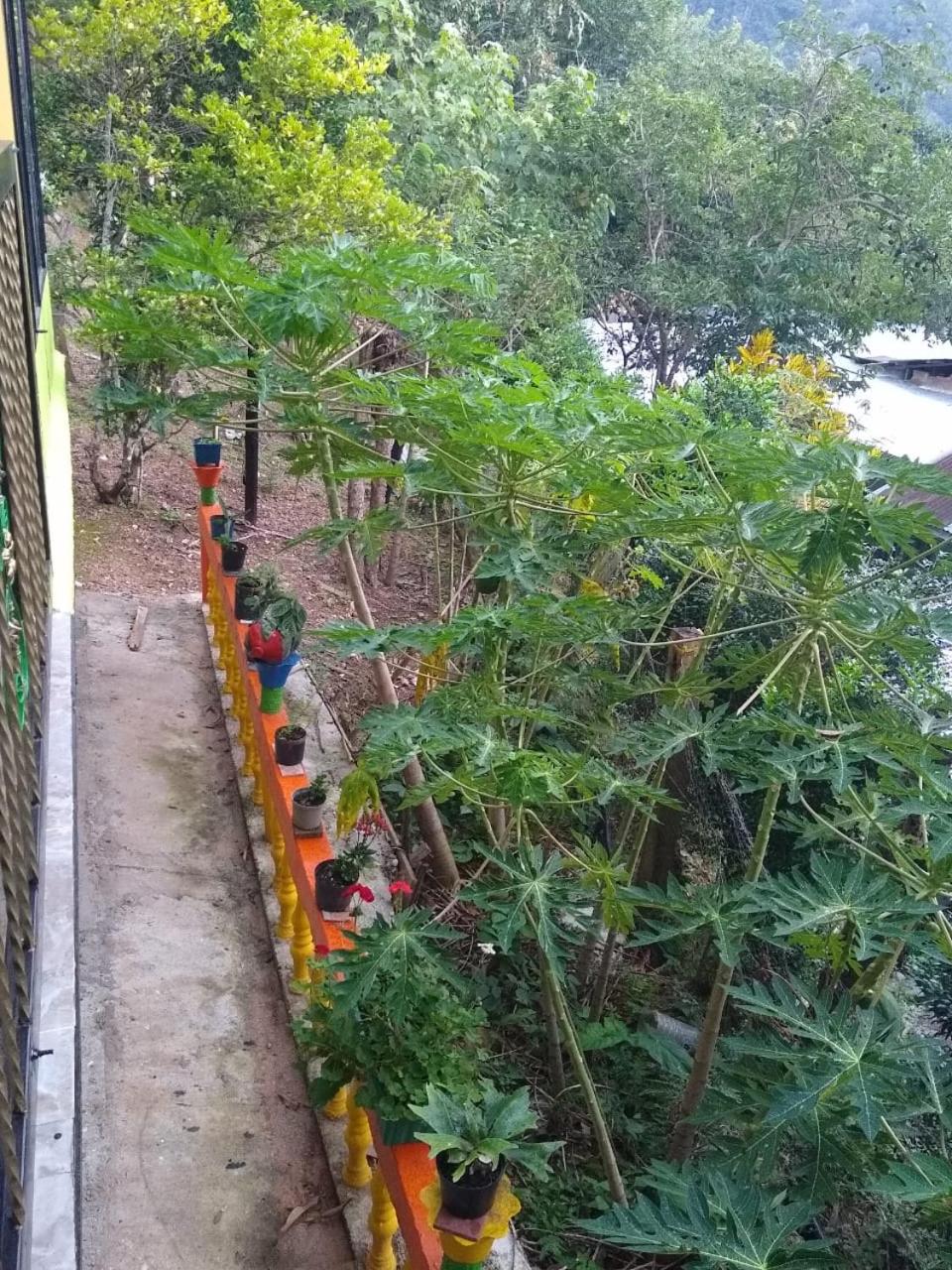 Finca Peñitas
