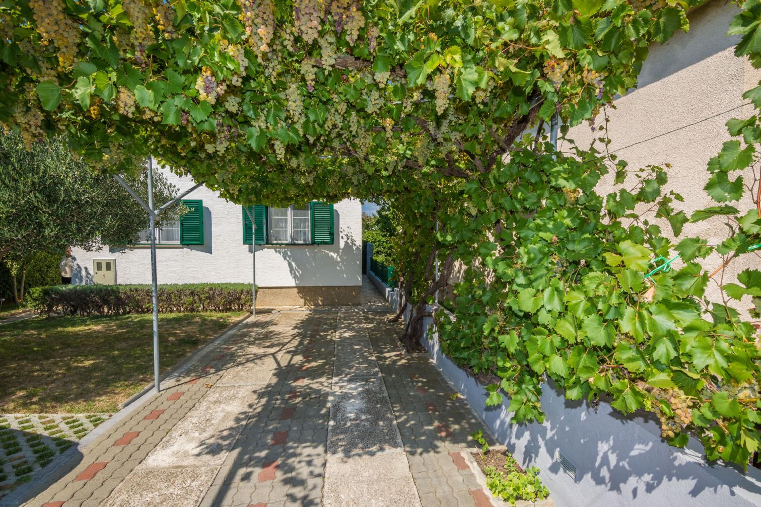 Apartman Goga view 2