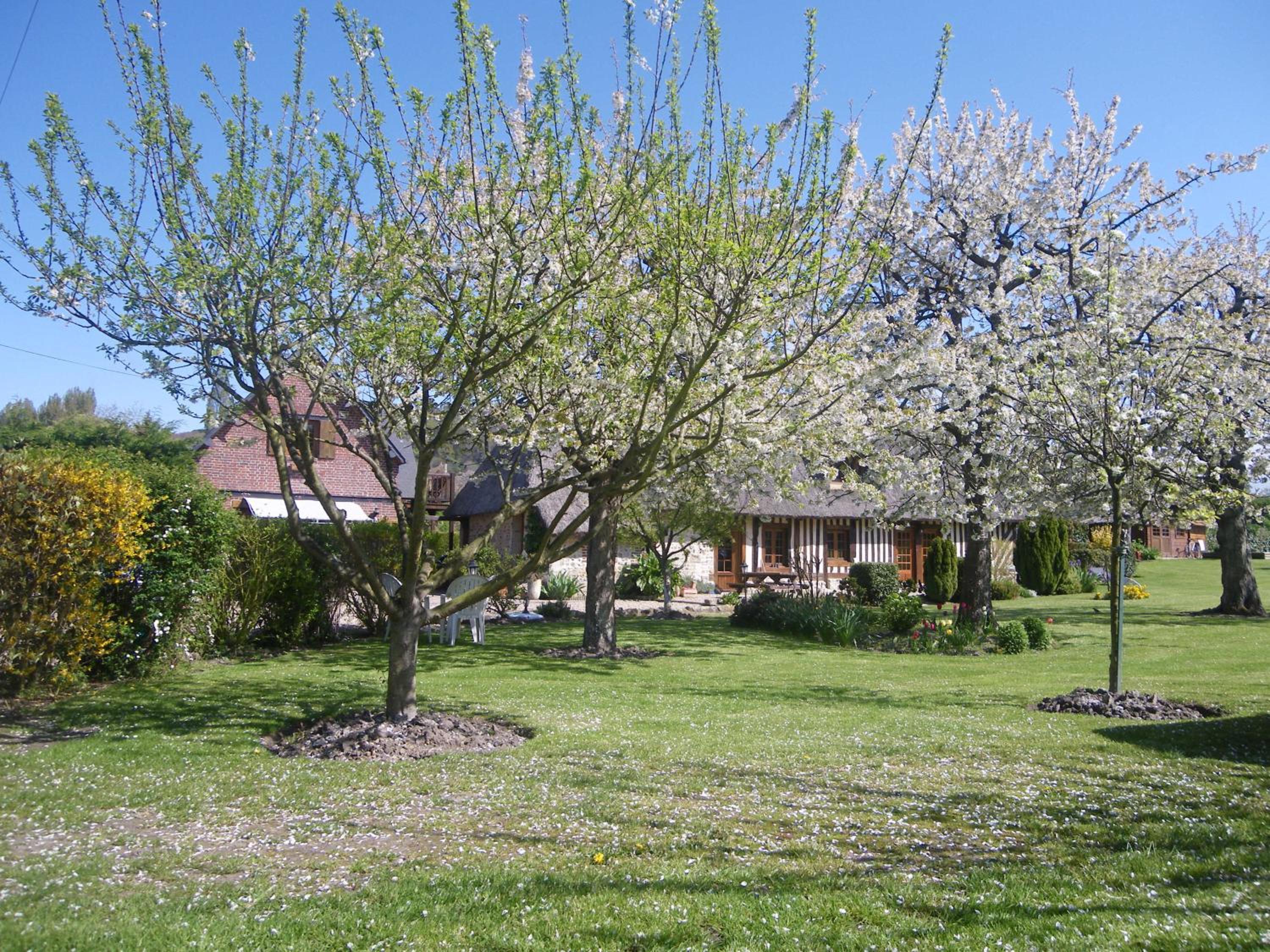 Photo 46