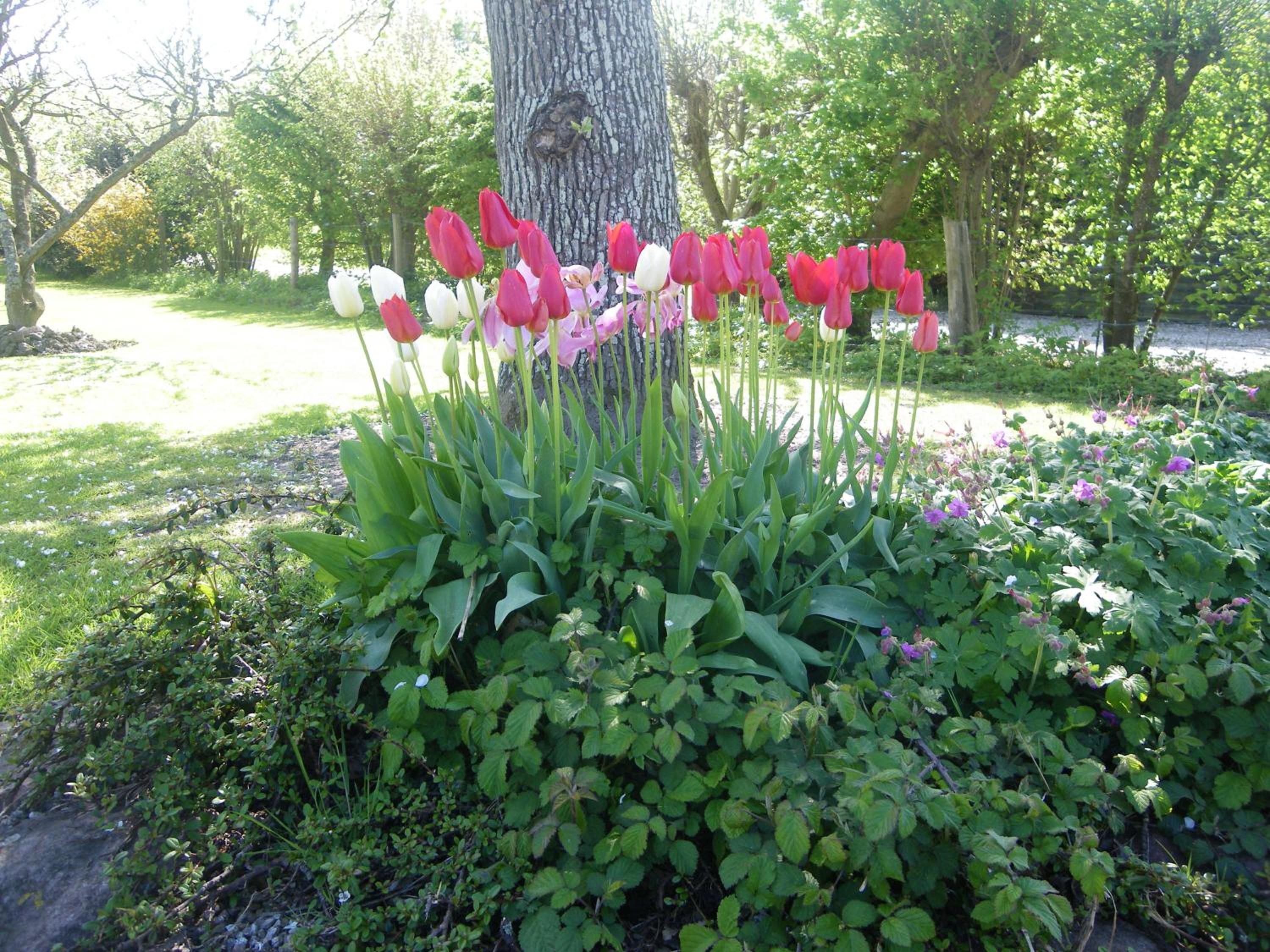 Photo 47
