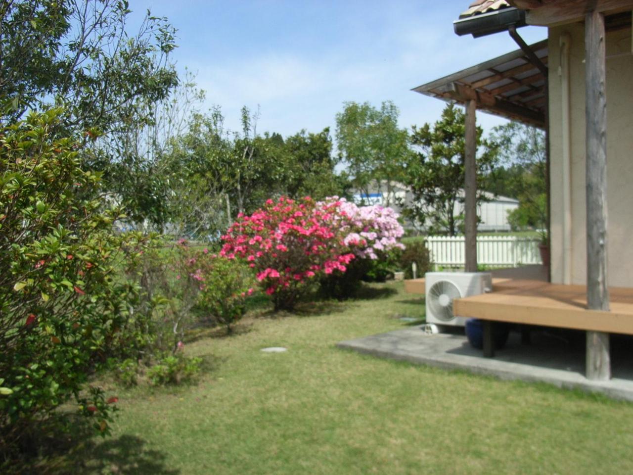 Photo 40