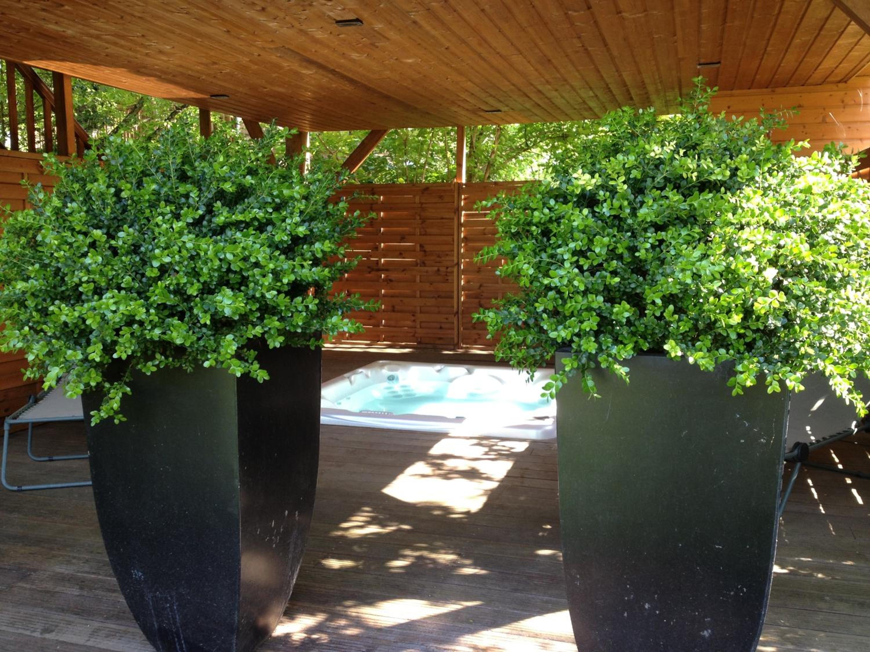 Manoir Du Parc (Adults only)