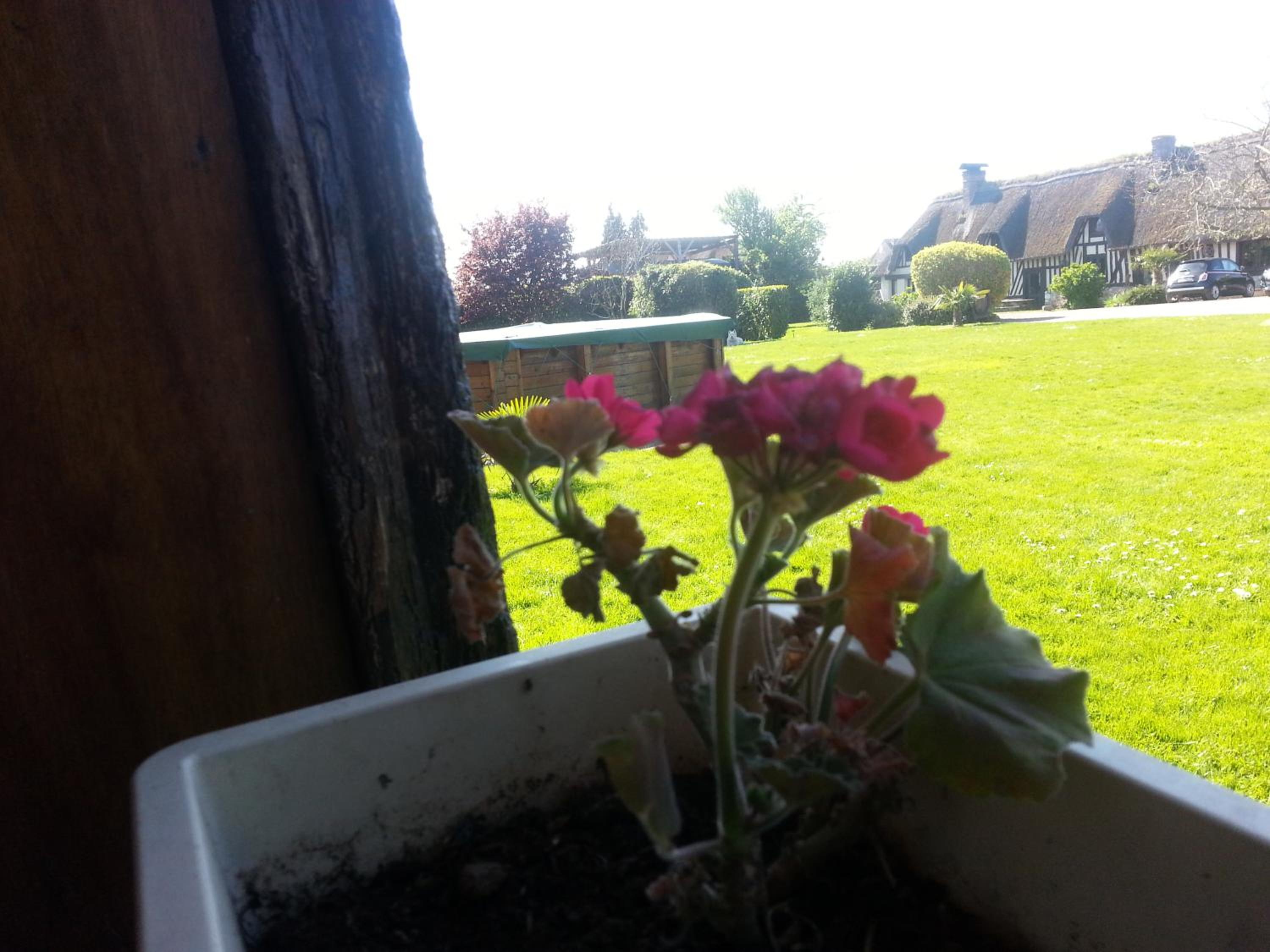 Photo 23