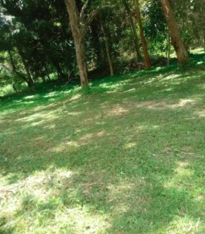 Casa em Itaipava até 14 Pessoas, Piscina, Lareira e Pets