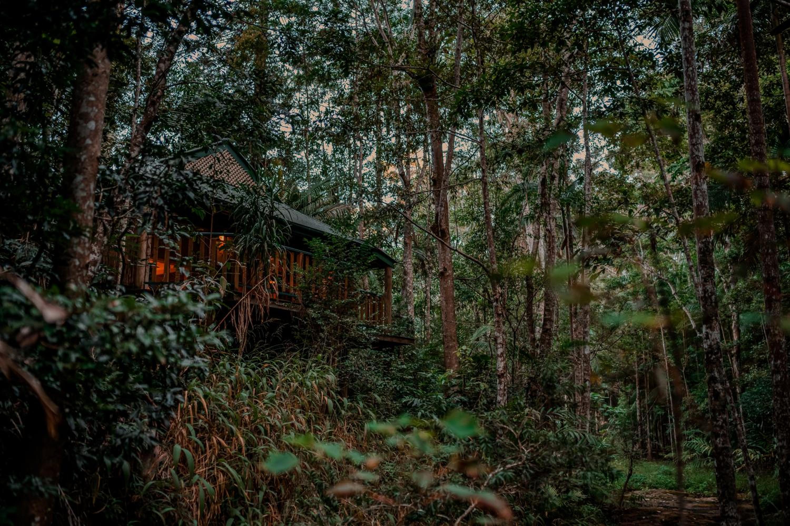Narrows Escape Rainforest Retreat