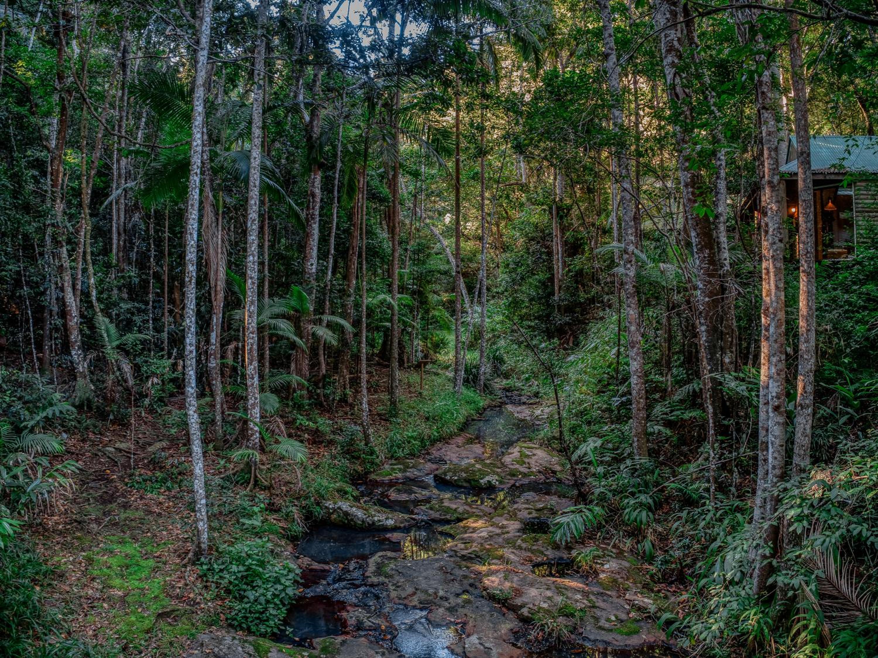 Narrows Escape Rainforest Retreat