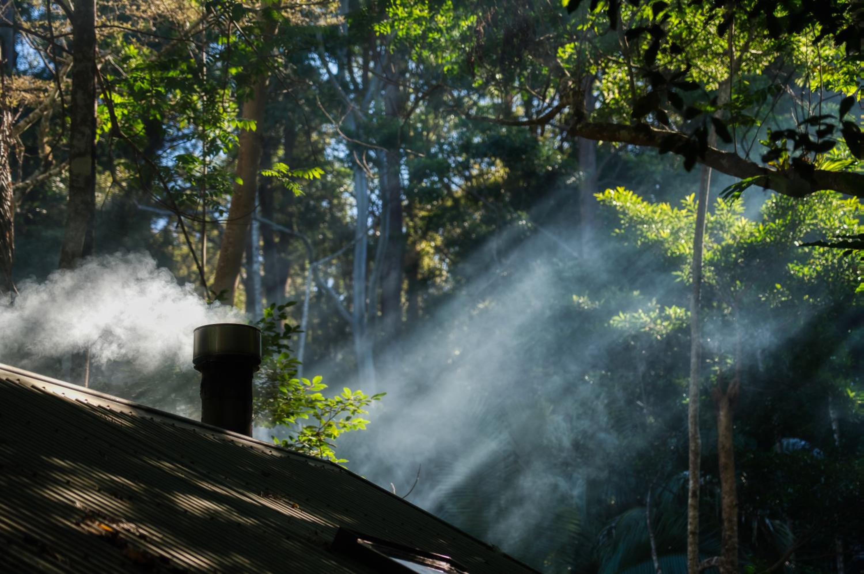 Narrows Escape Rainforest Retreat