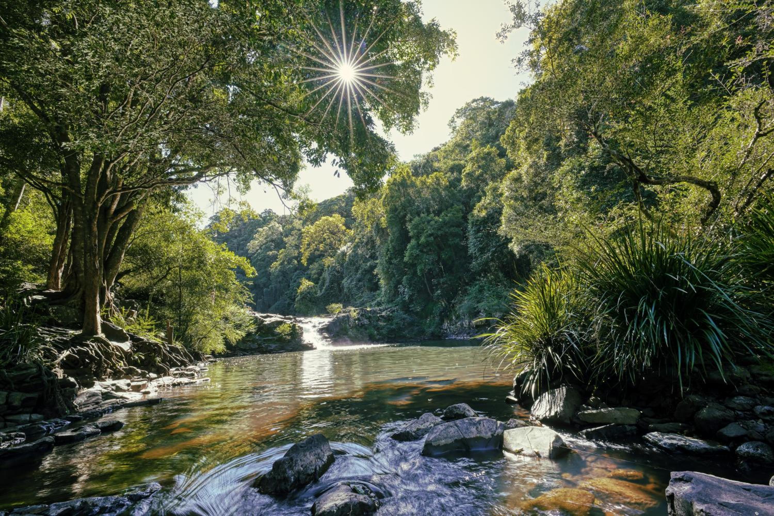 Narrows Escape Rainforest Retreat