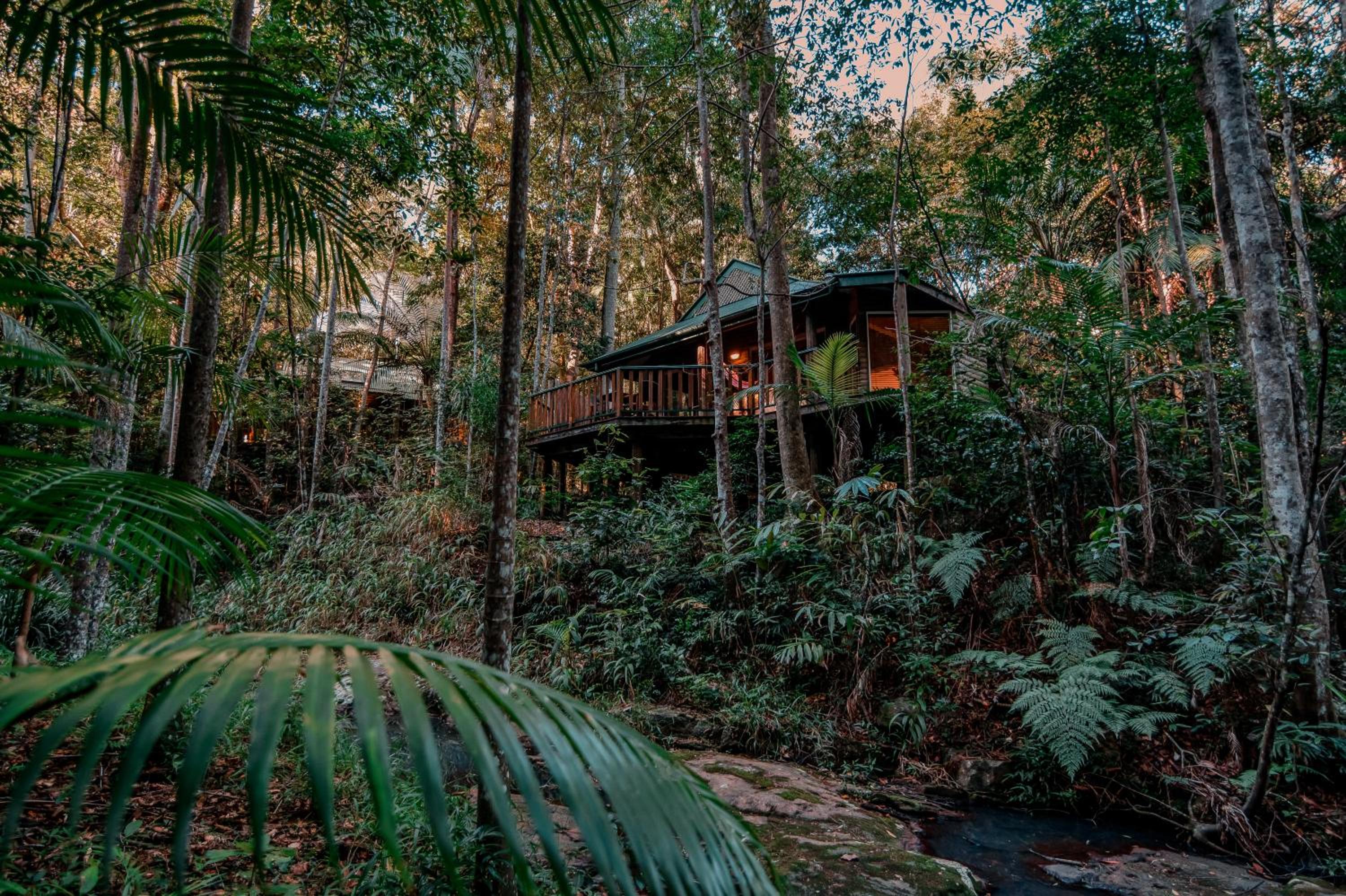Hotel Narrows Escape Rainforest Retreat