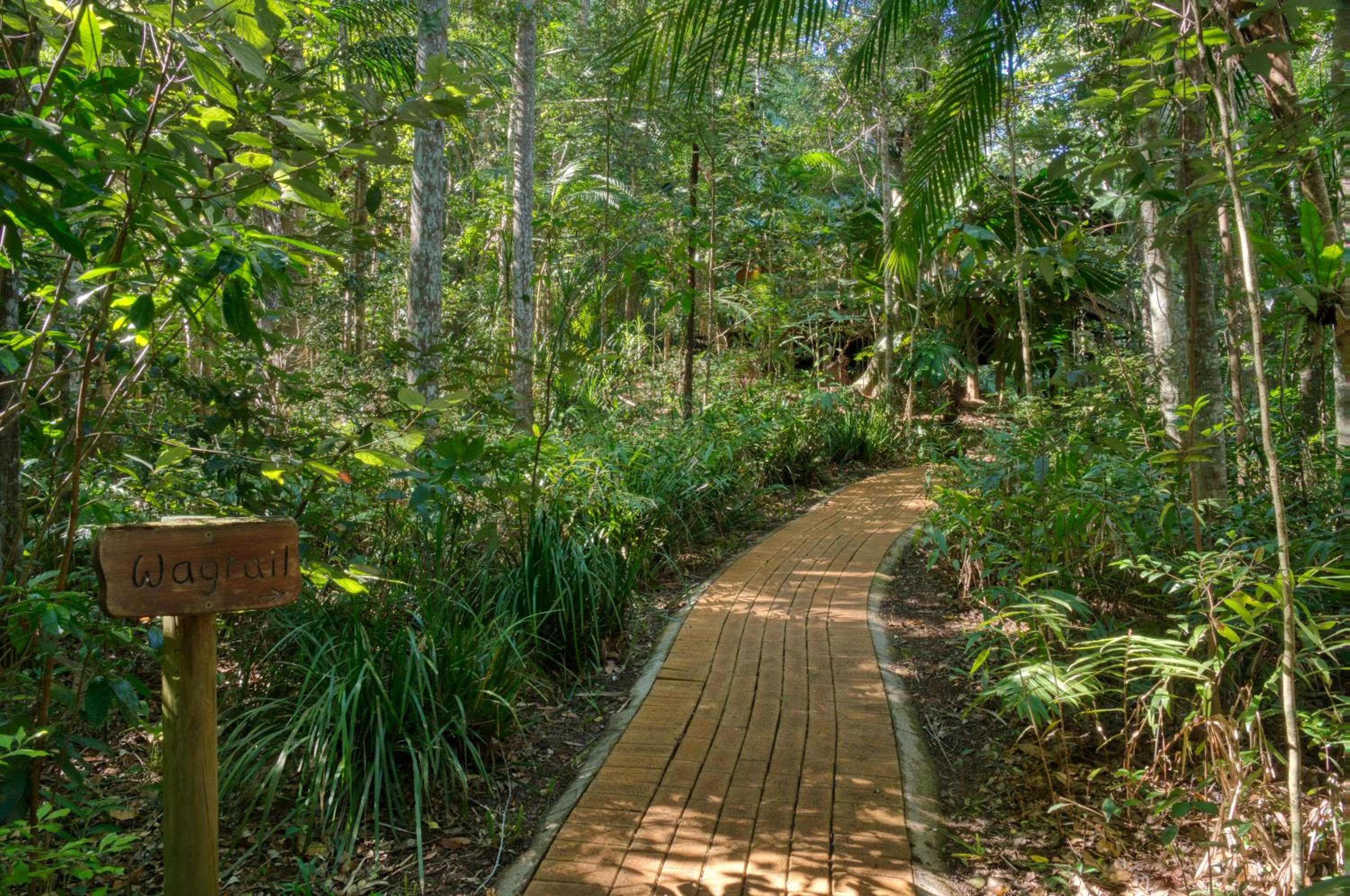 Narrows Escape Rainforest Retreat