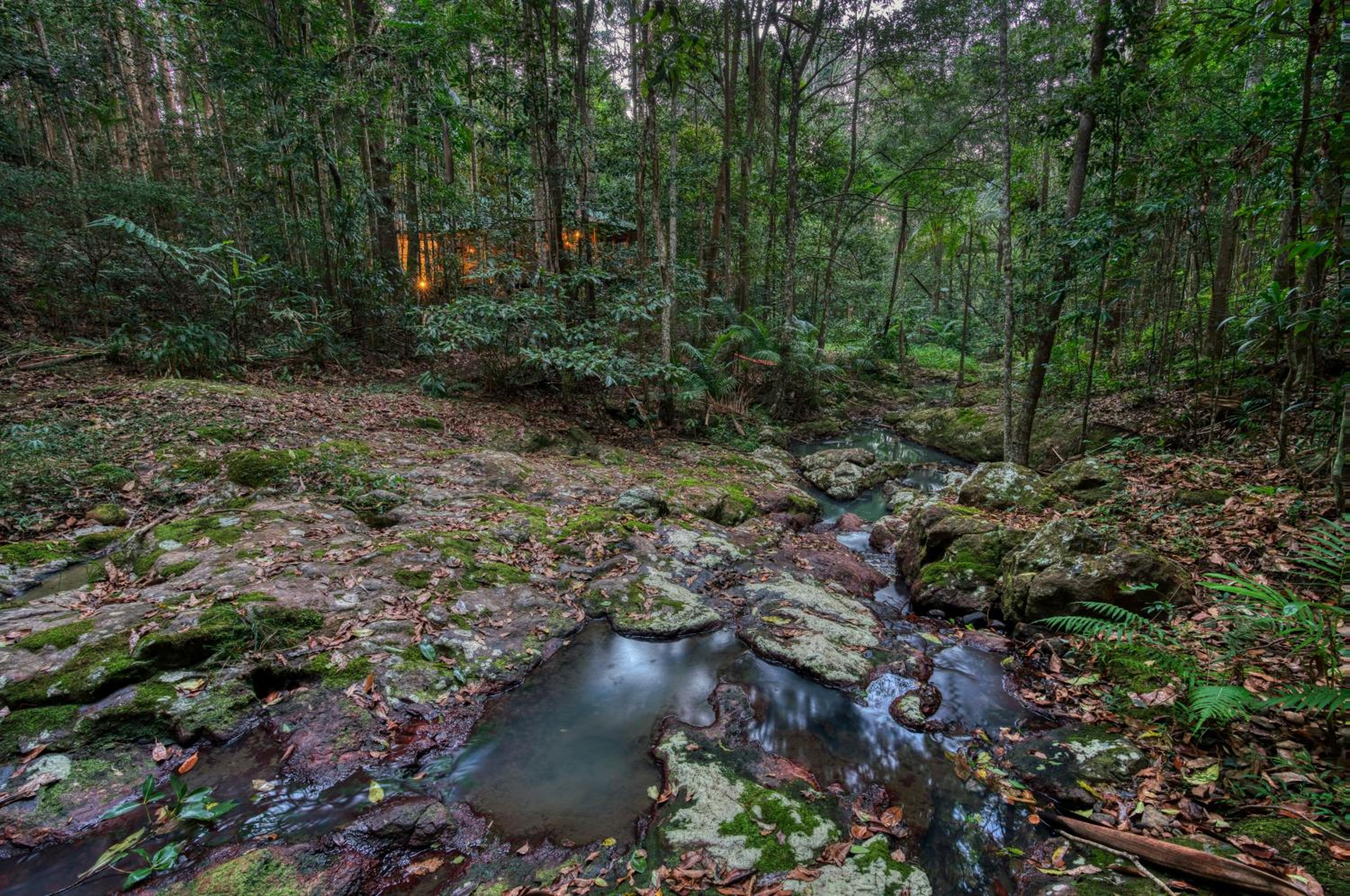 Narrows Escape Rainforest Retreat