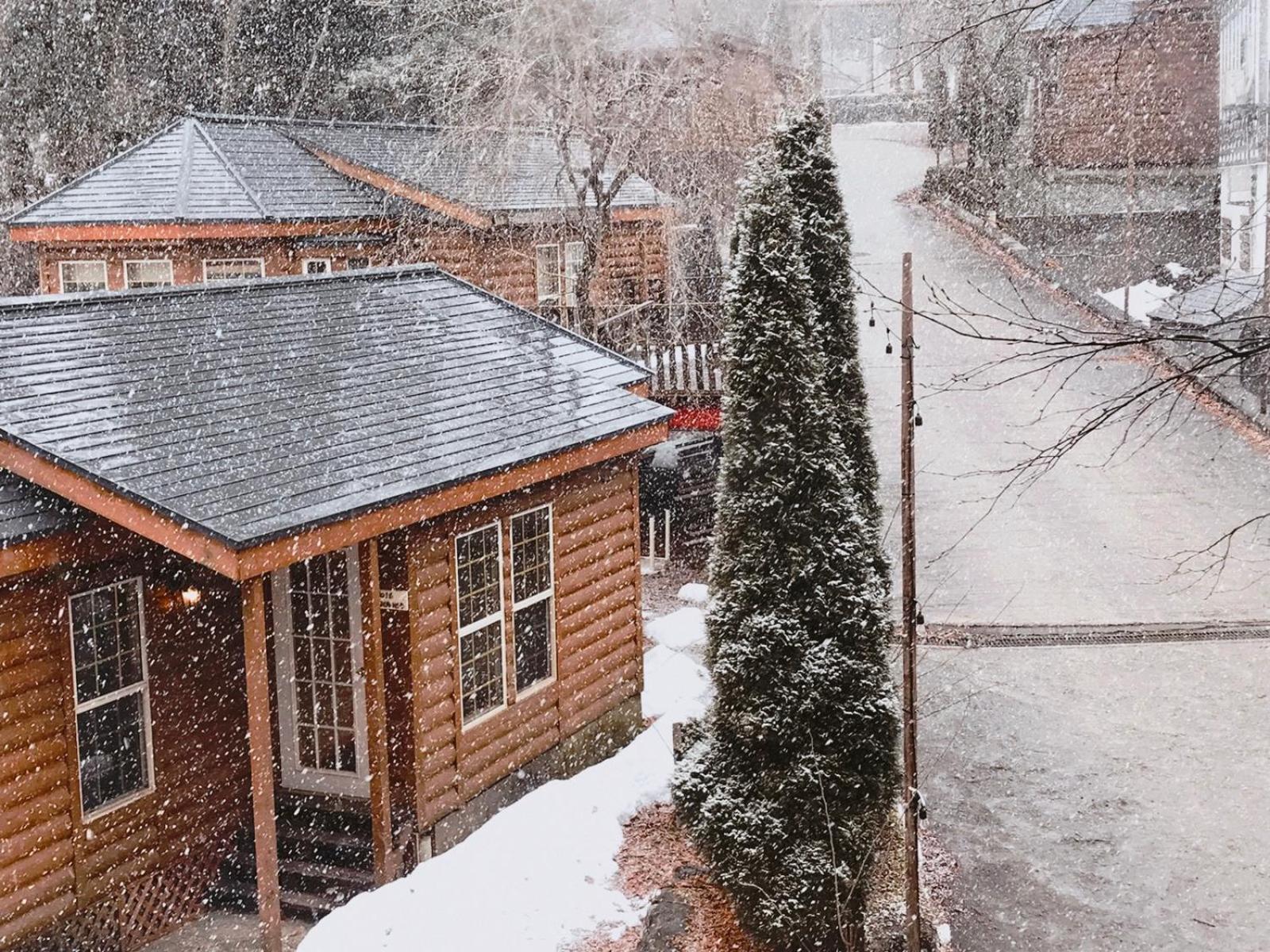 Hakuba Canadian Lodge
