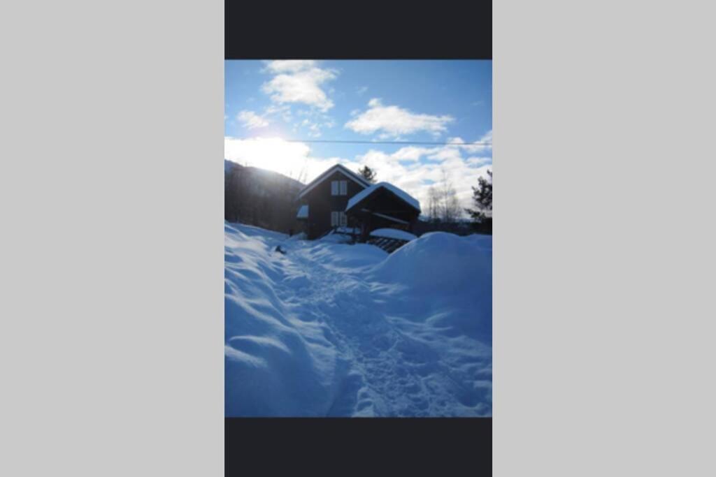 Photo 14