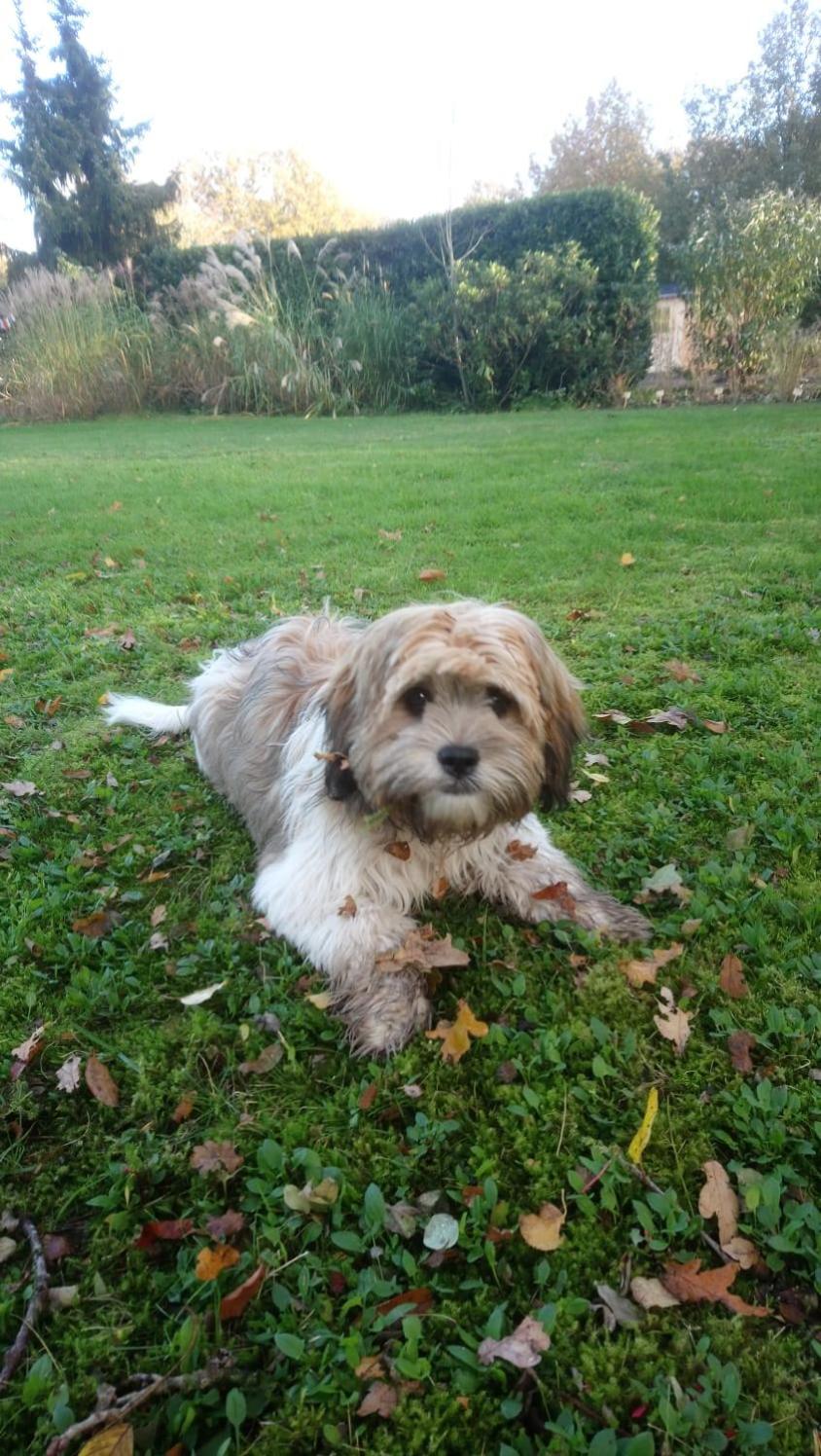 Photo 46