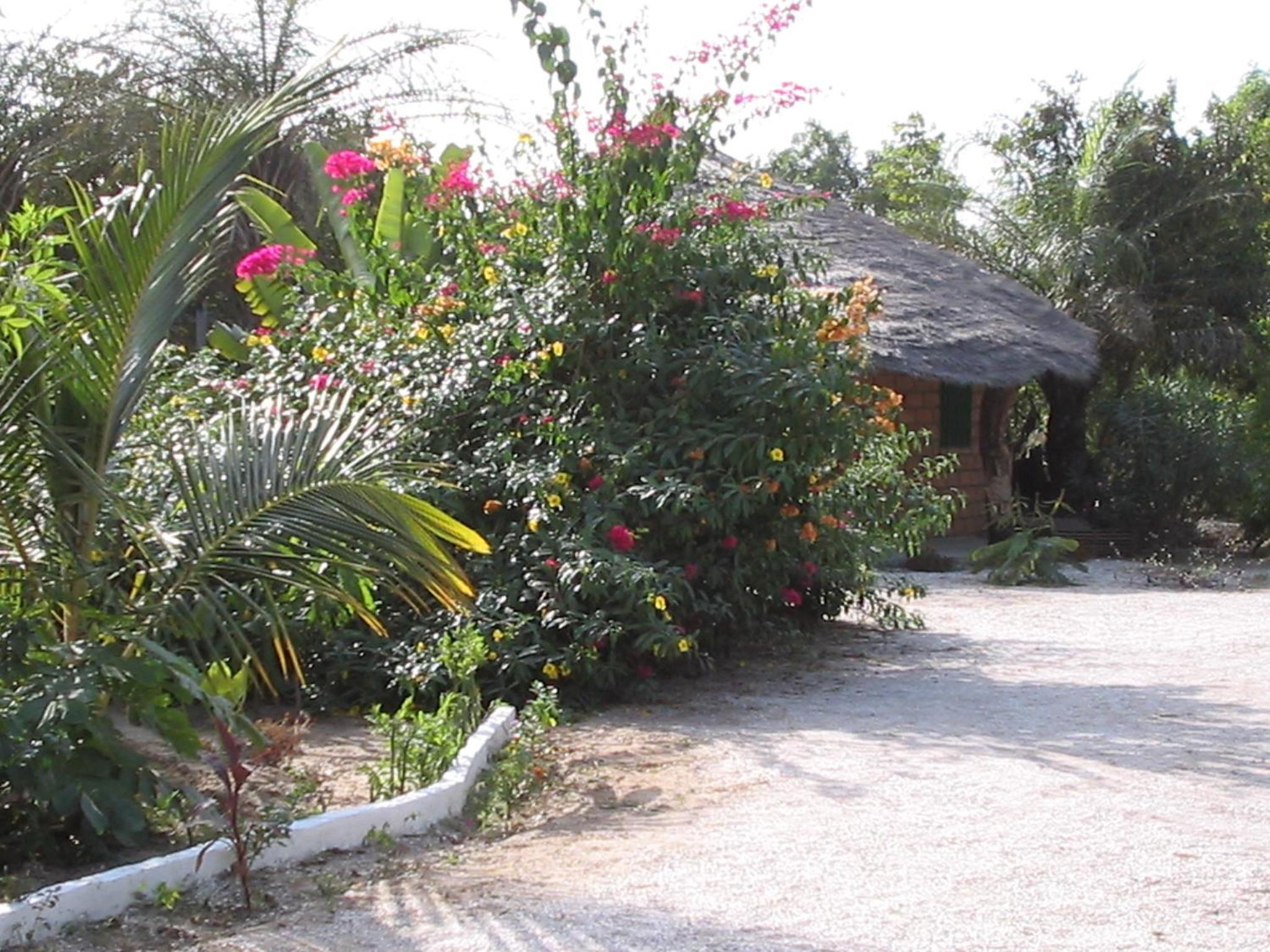 Photo 25